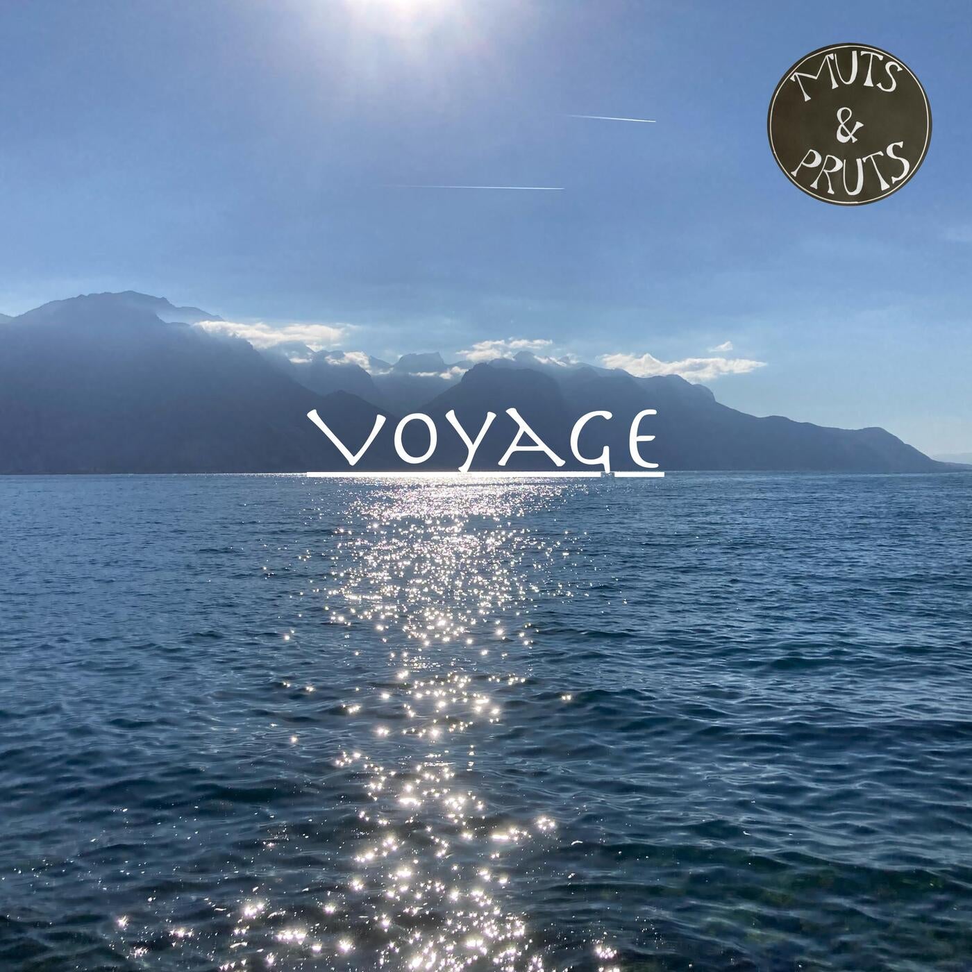 Voyage