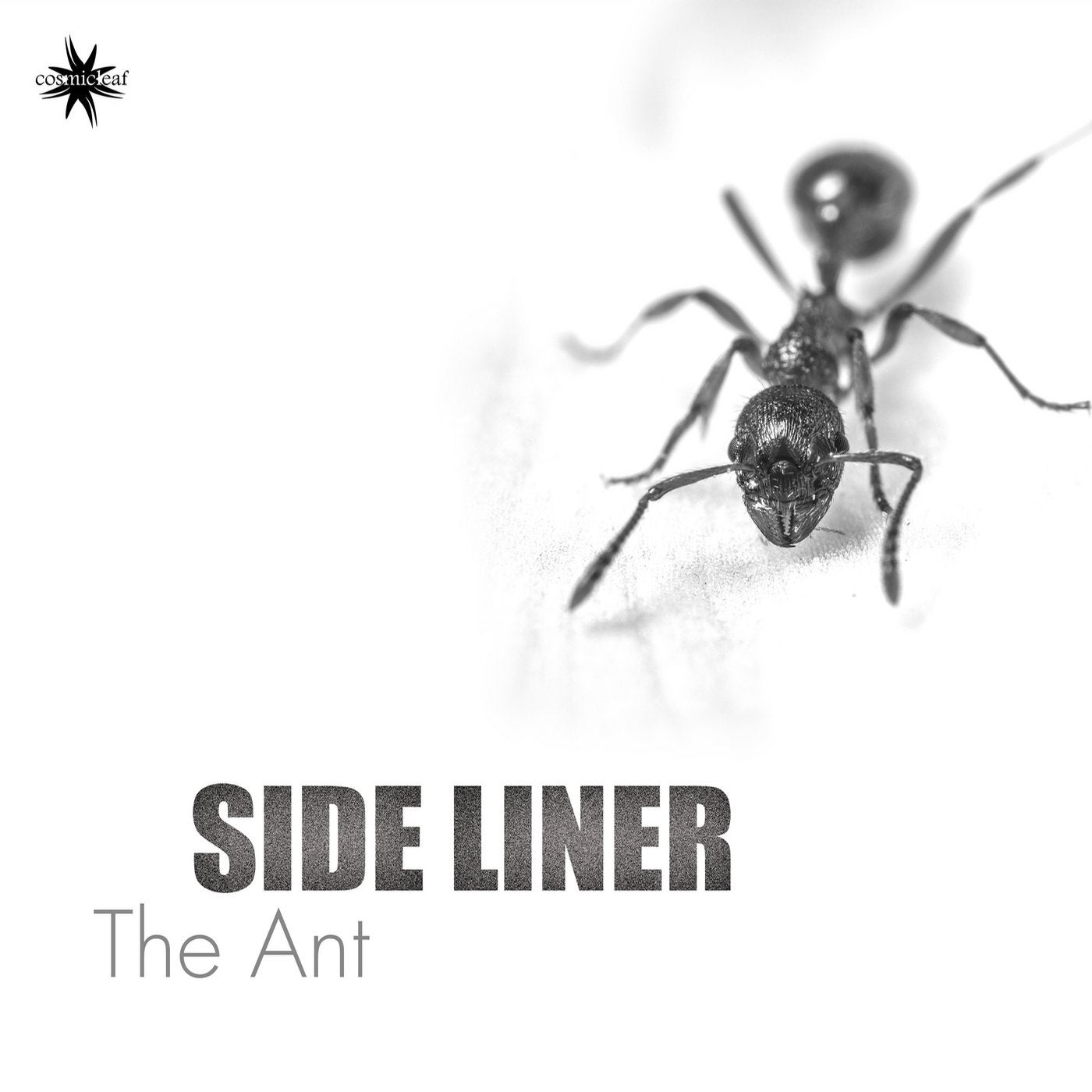 Line side. Ant Sides. Летать по ветру the Ants. The Ants слушать.