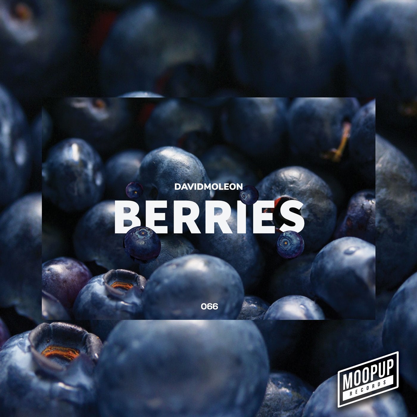 BERRIES