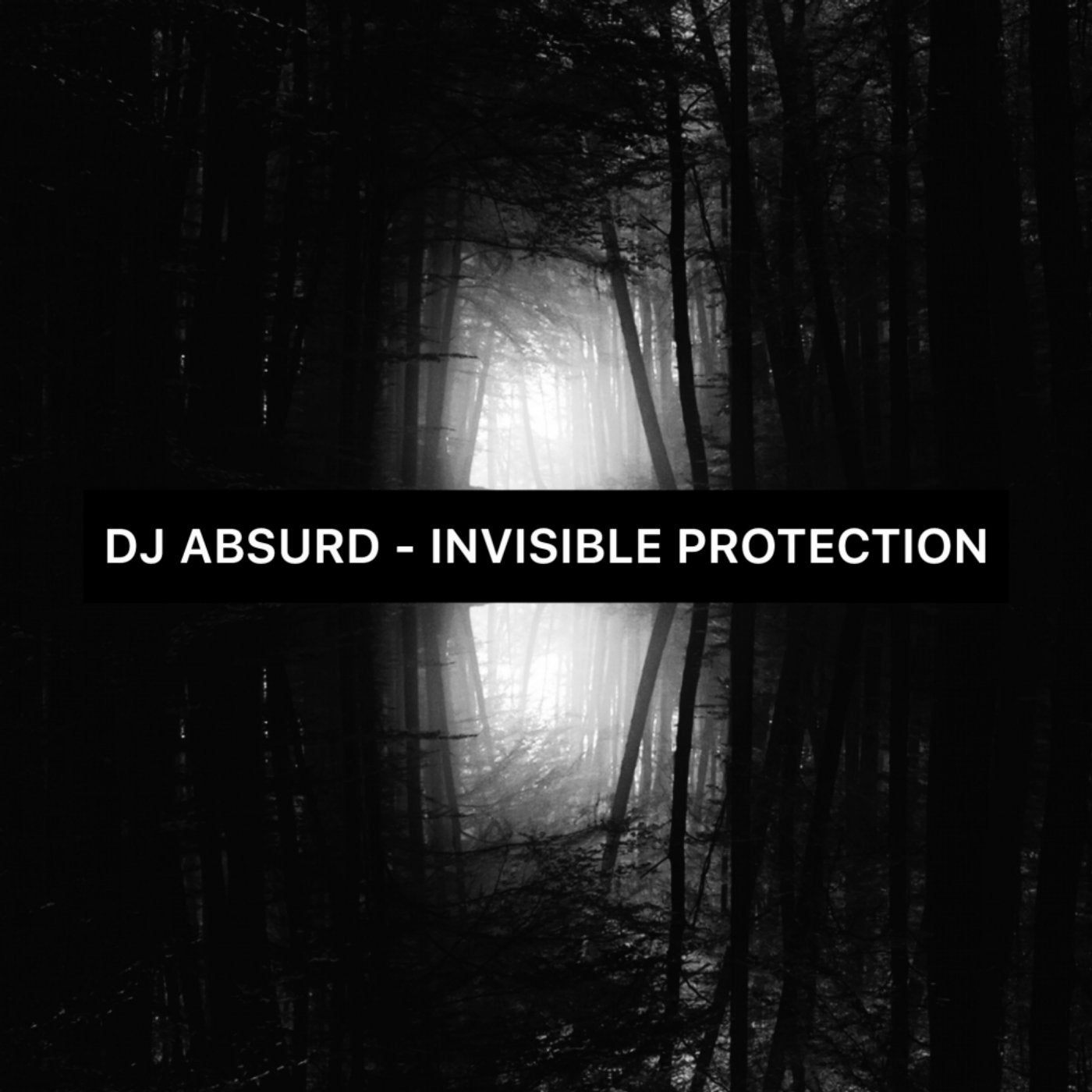 Invisible protection. DJ-absurd. Invisible protect.