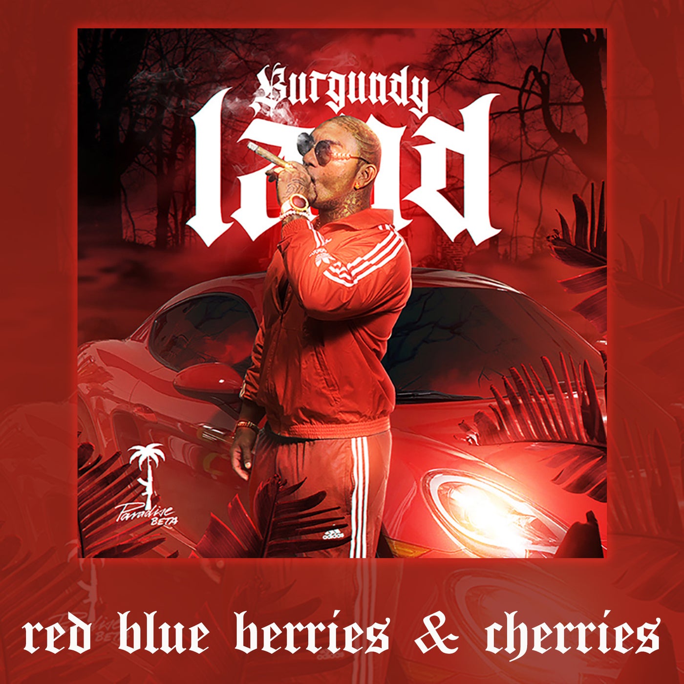 Red Blue Berries & Cherries