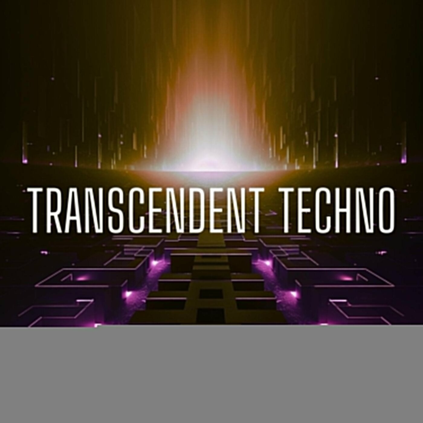 Transcendent Techno, Vol. 11