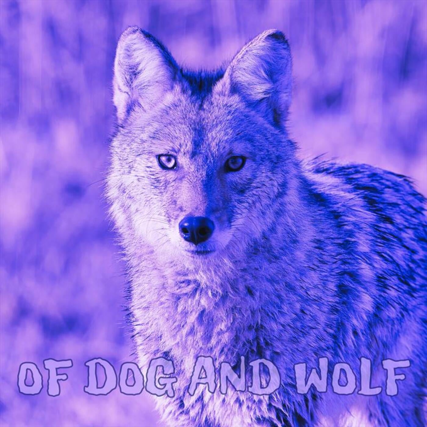 Of Dog and Wolf