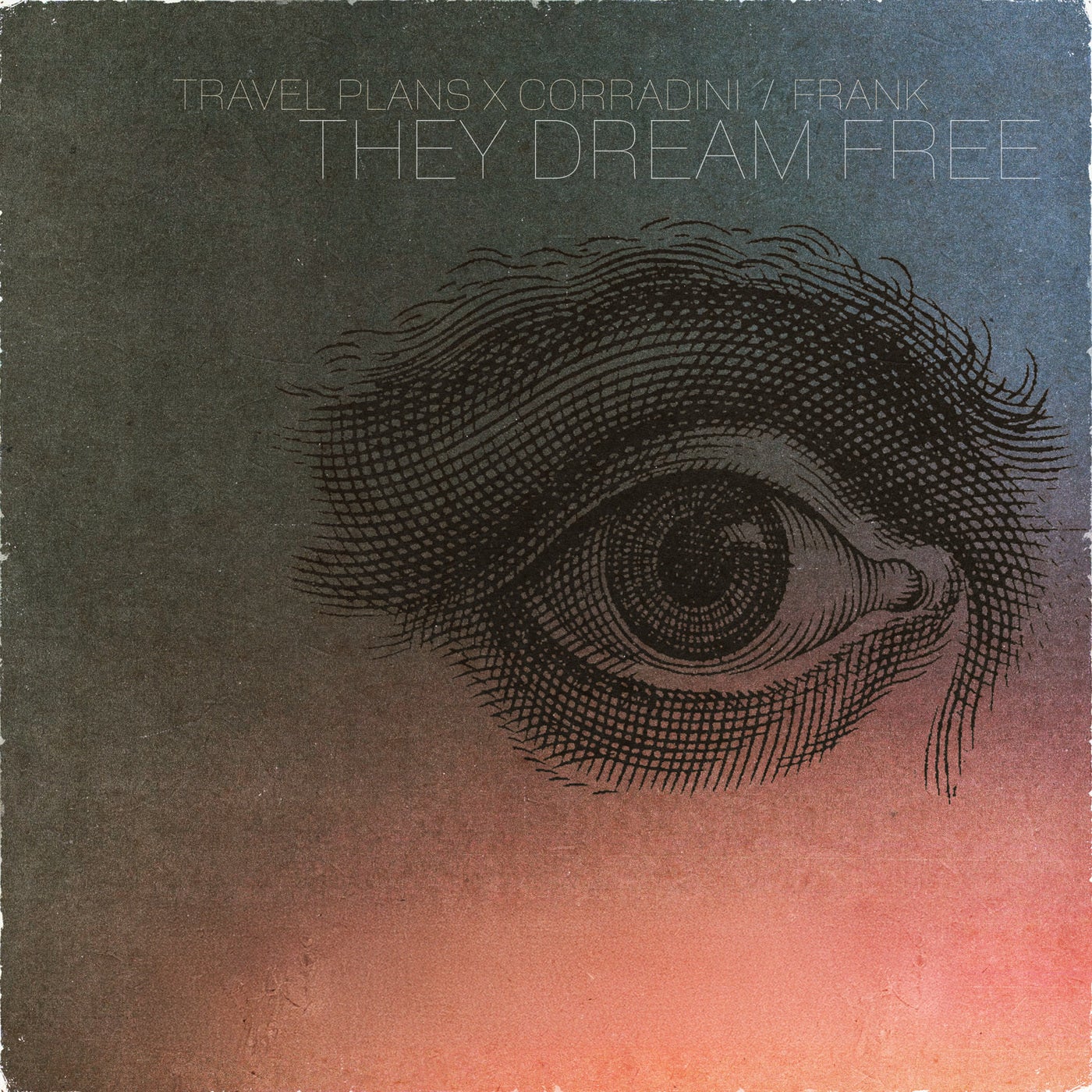 They Dream Free