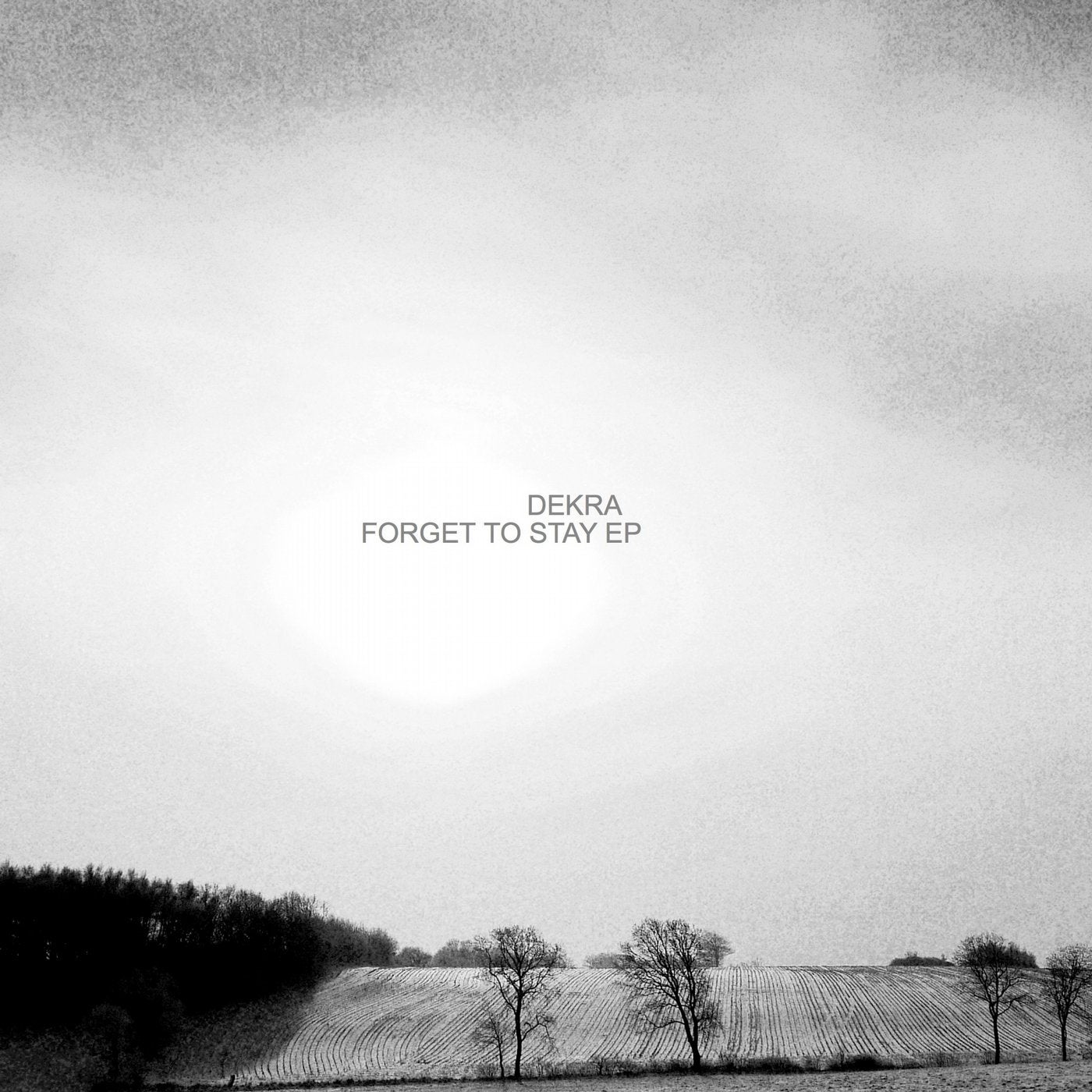 Forget to Stay EP