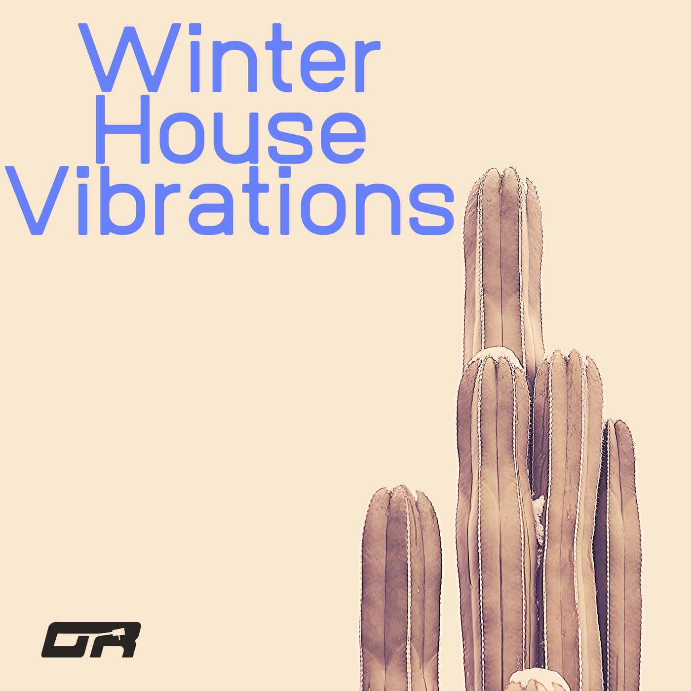 Winter House Vibrations