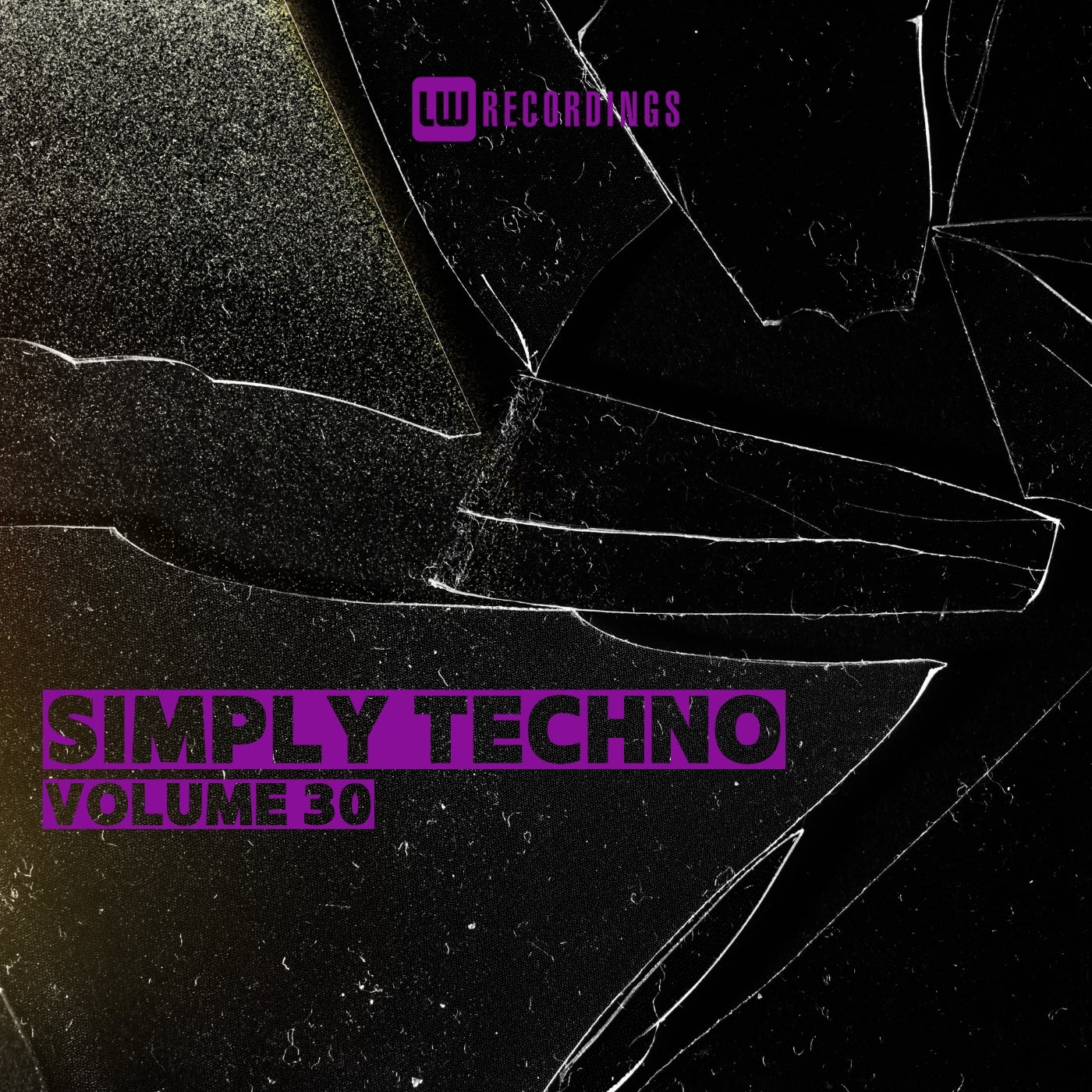 Simply Techno, Vol. 30