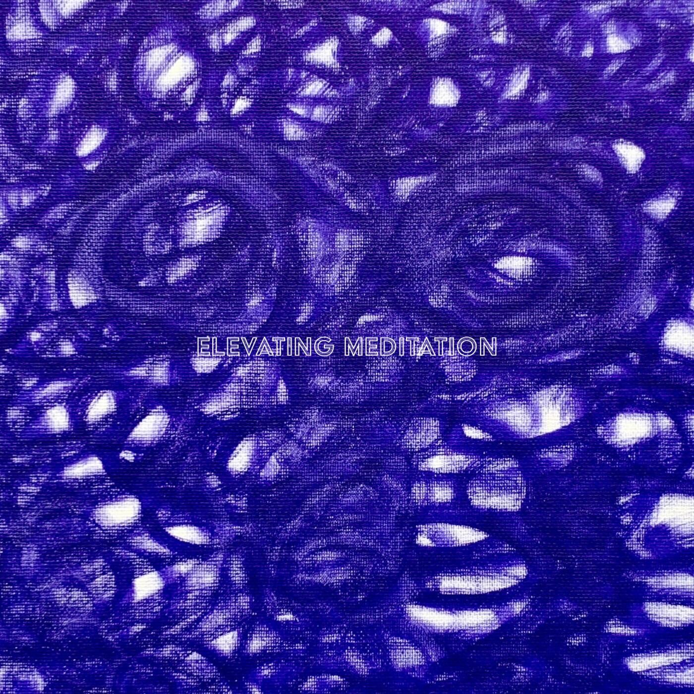 Elevating Meditation