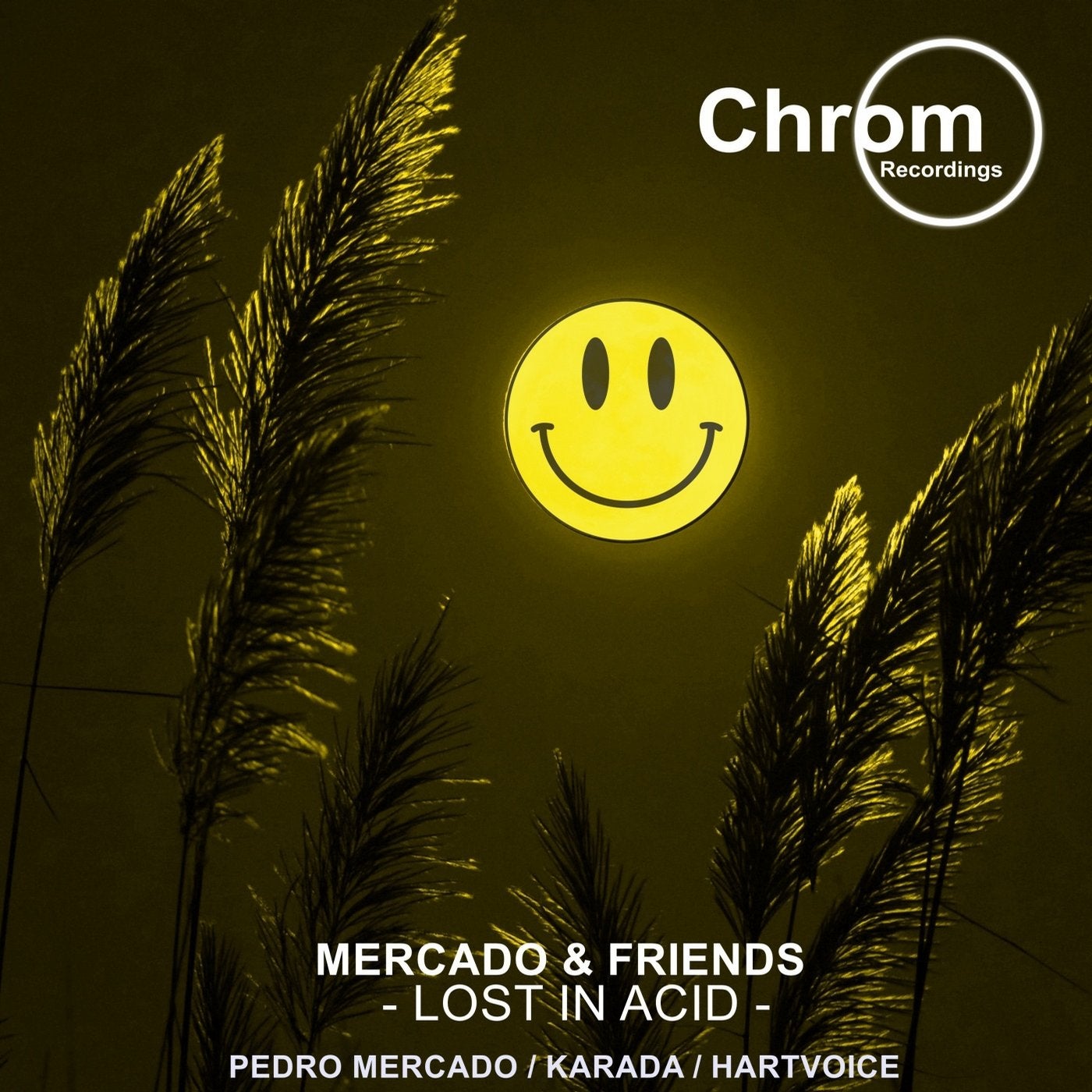 Mercado & Friends: Lost in Acid