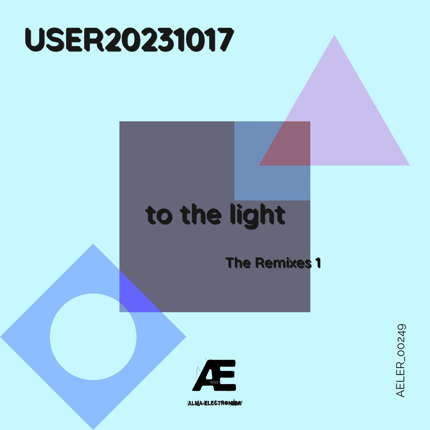 to the light (The Remixes 1)