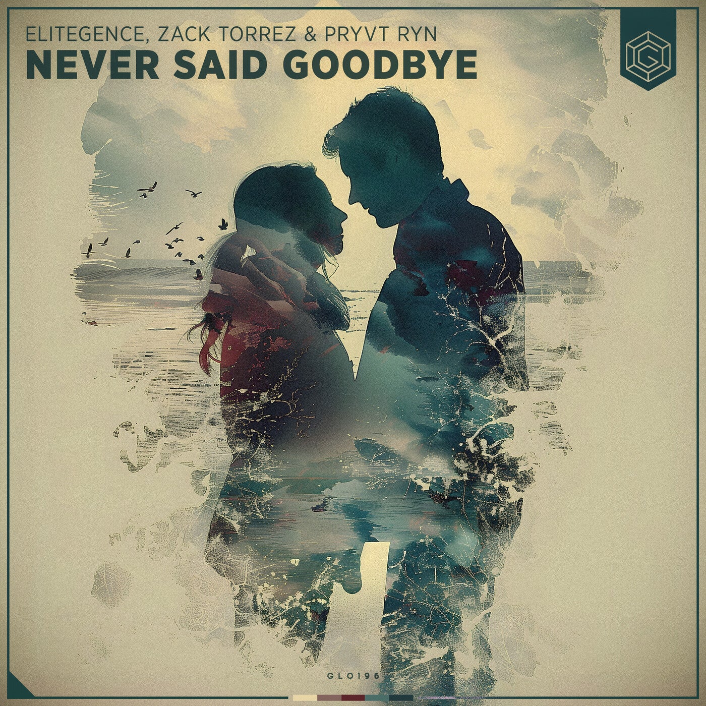 Never Said Goodbye