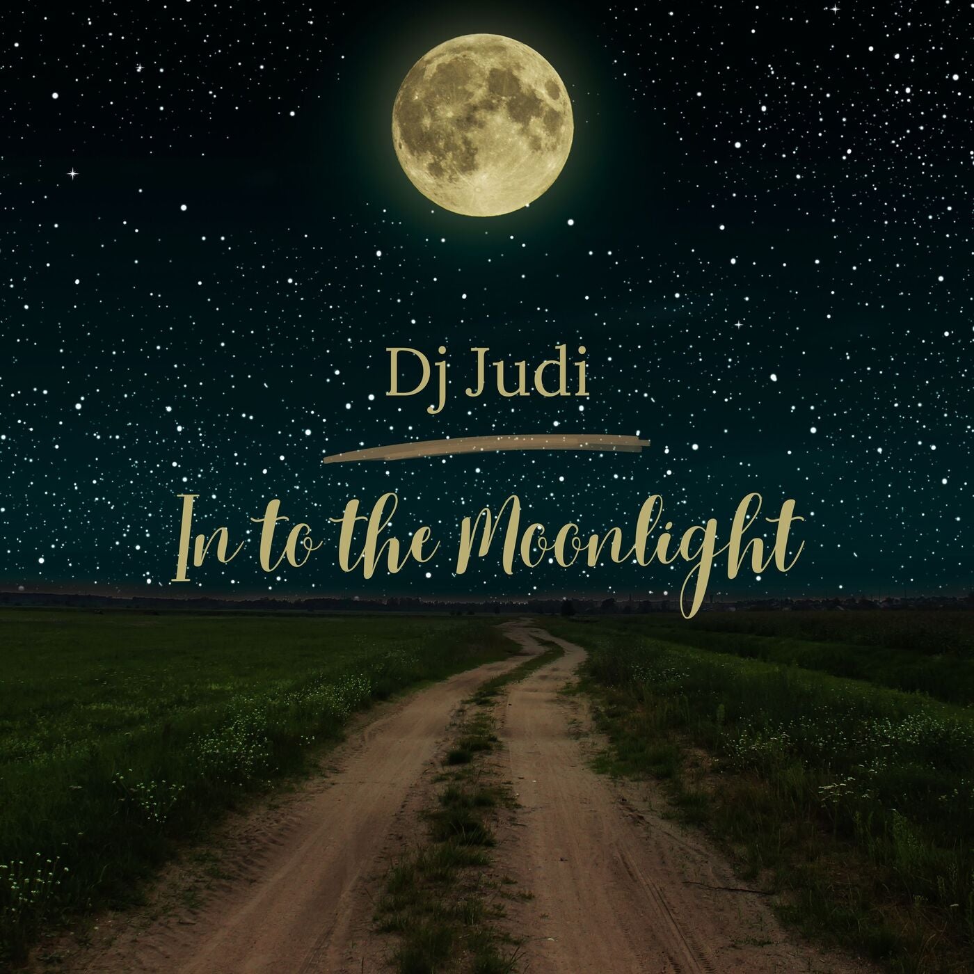 In to the Moonlight