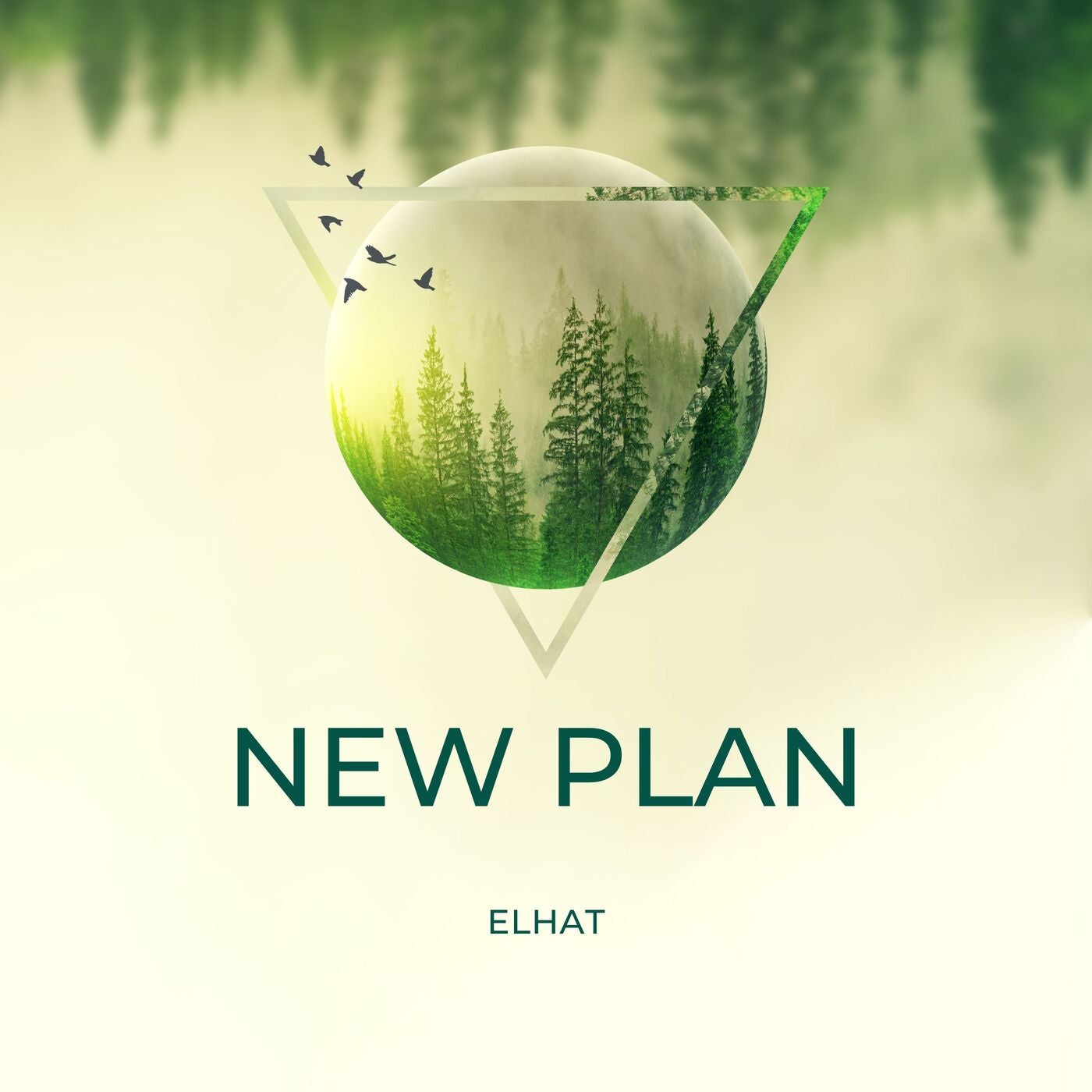 New Plan