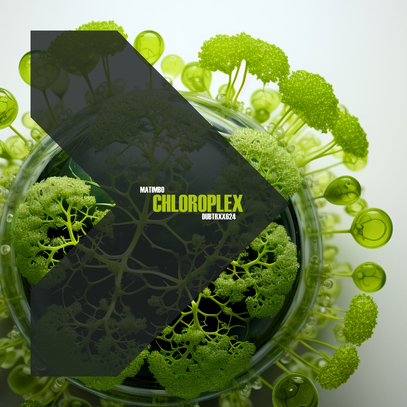 Chloroplex