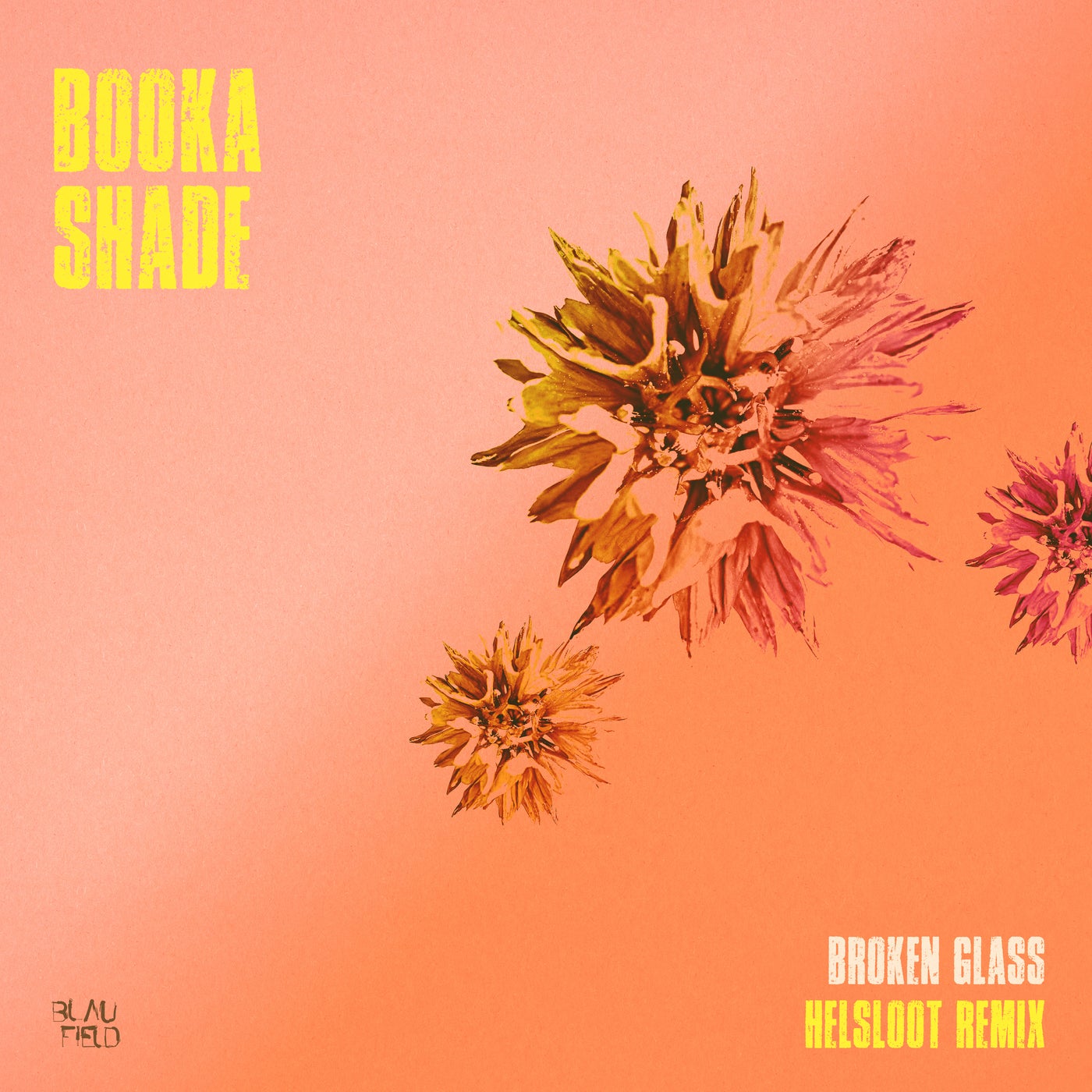 Broken Glass (Helsloot Remix)