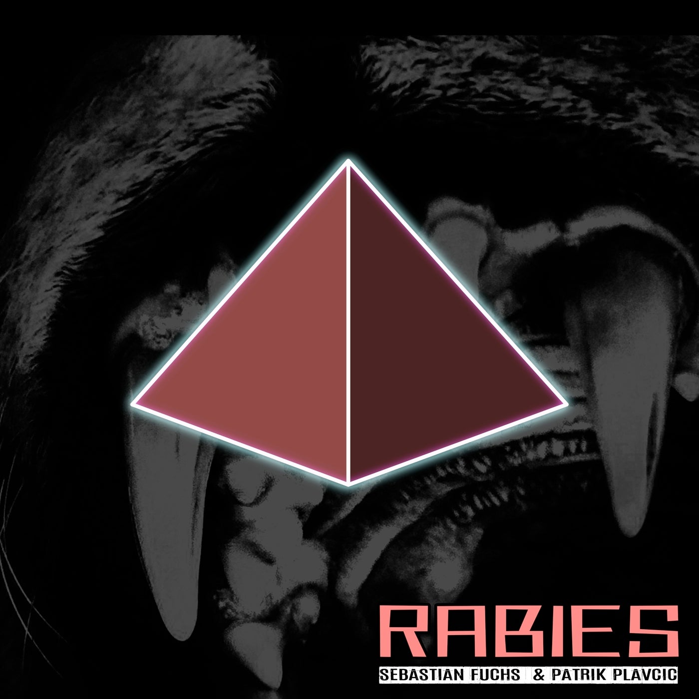 Rabies