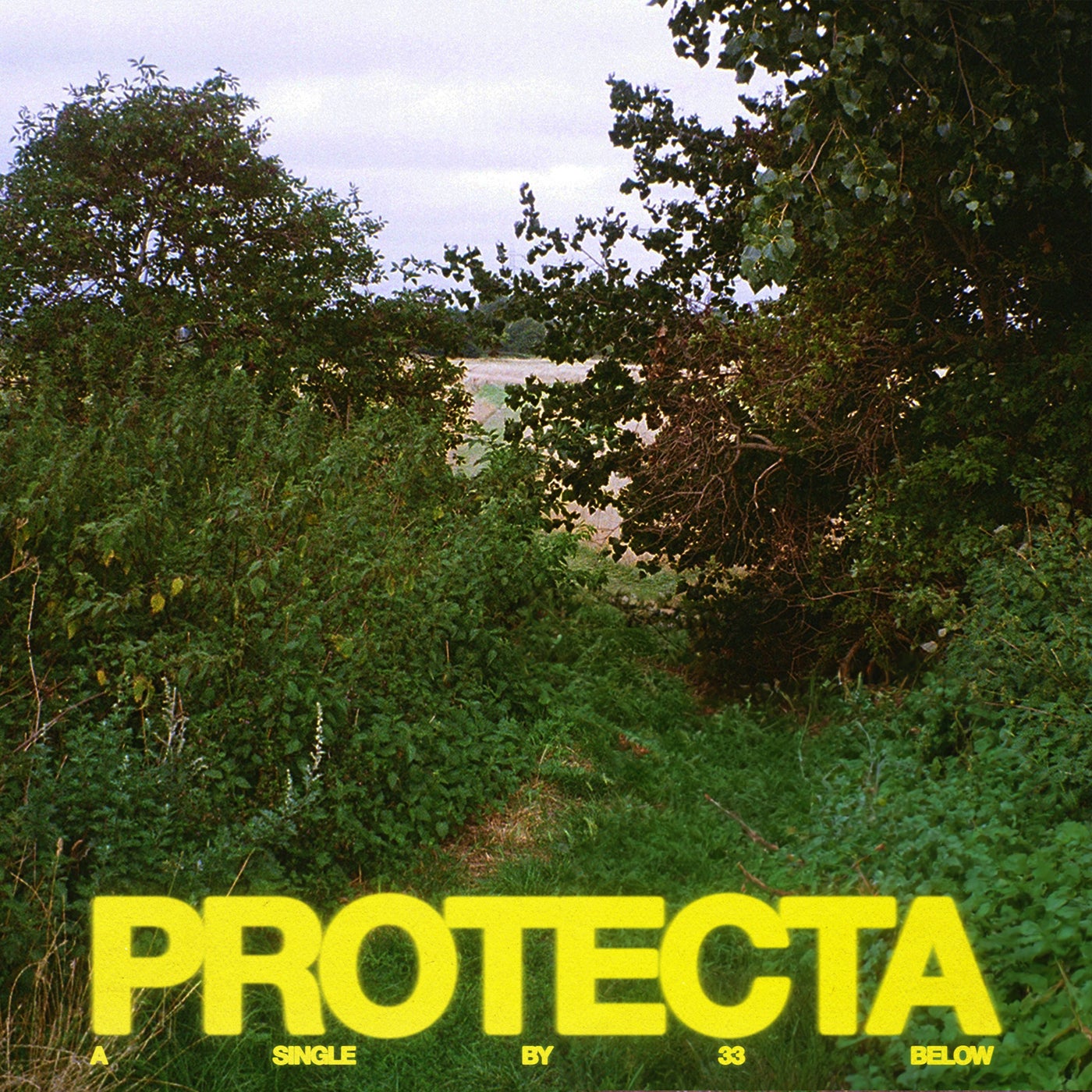 PROTECTA