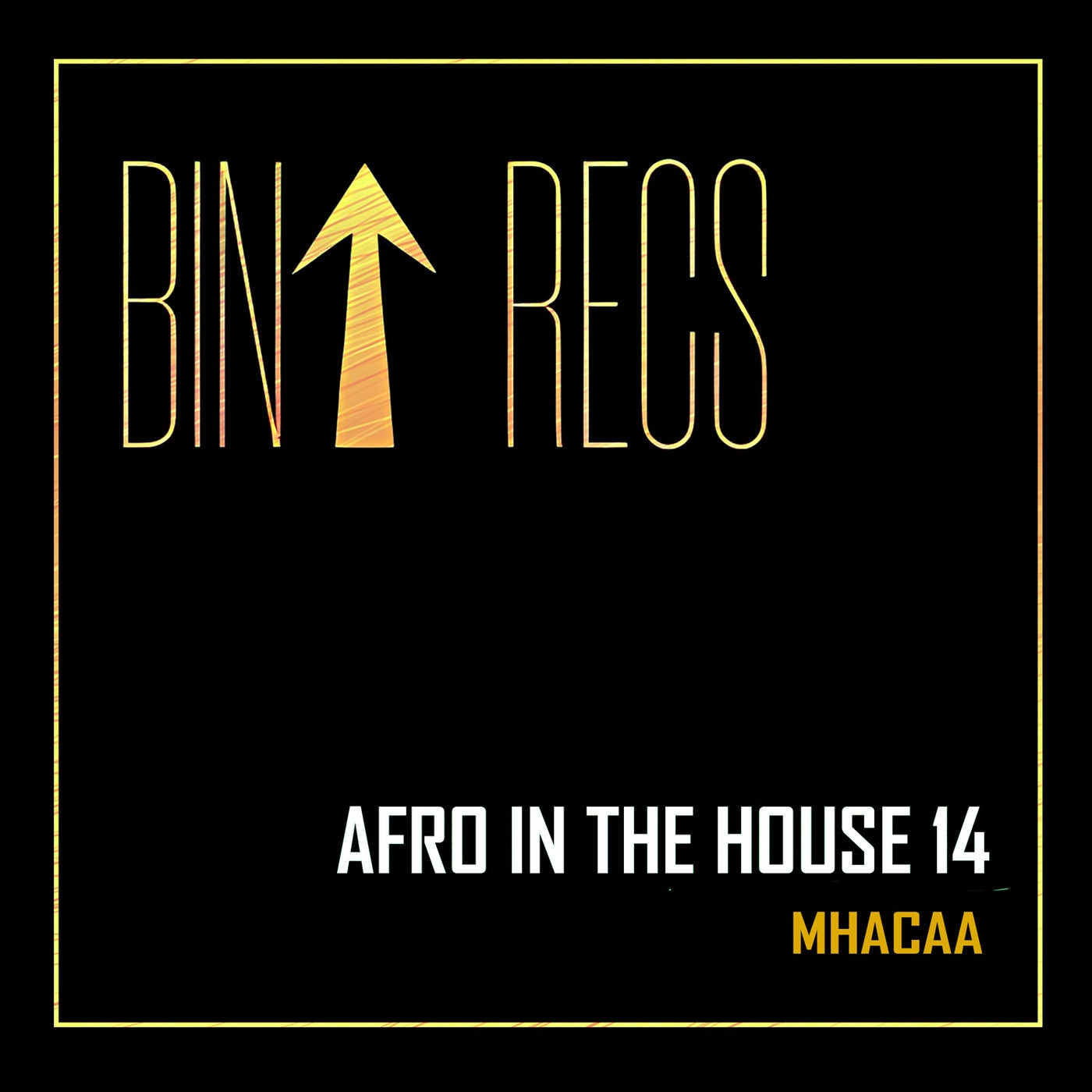 Afro In The House 14