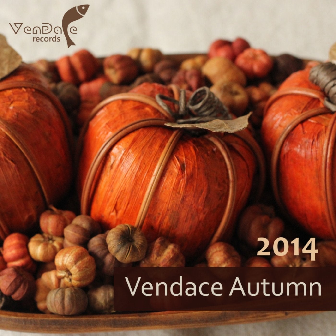 Vendace Autumn 2014