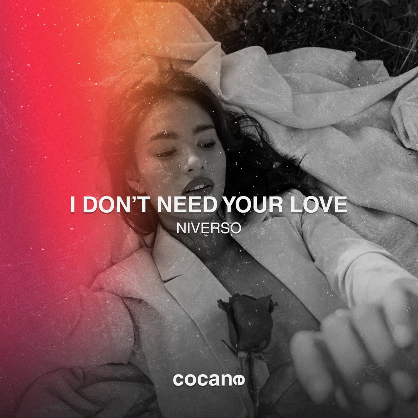 I Don't Need Your Love