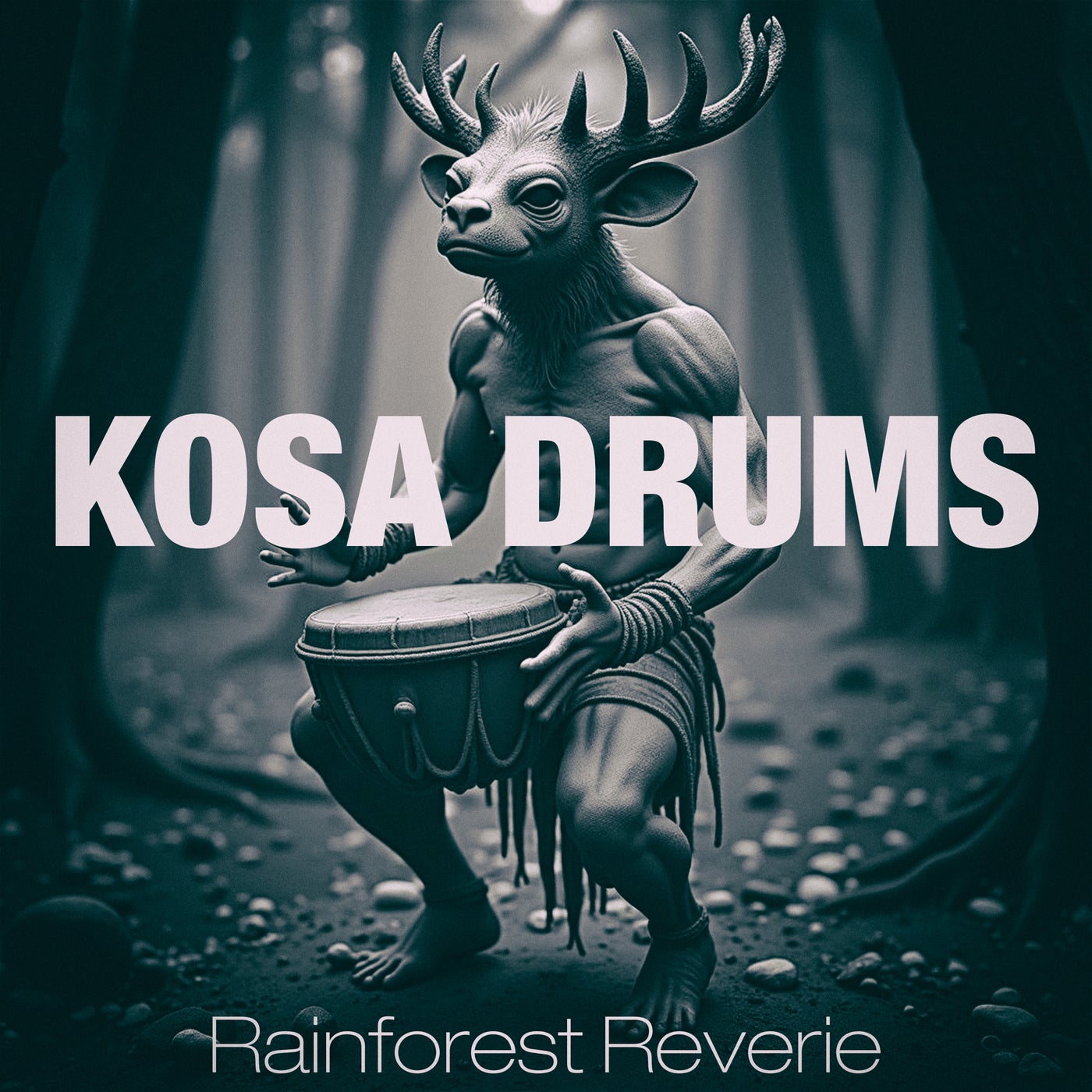 Rainforest Reverie