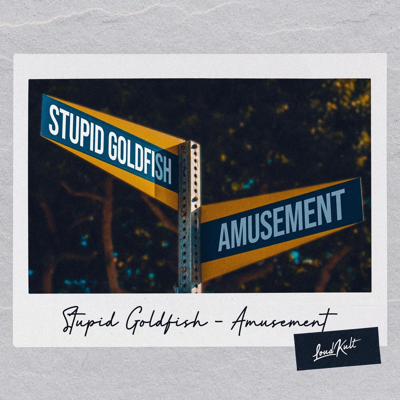 Amusement