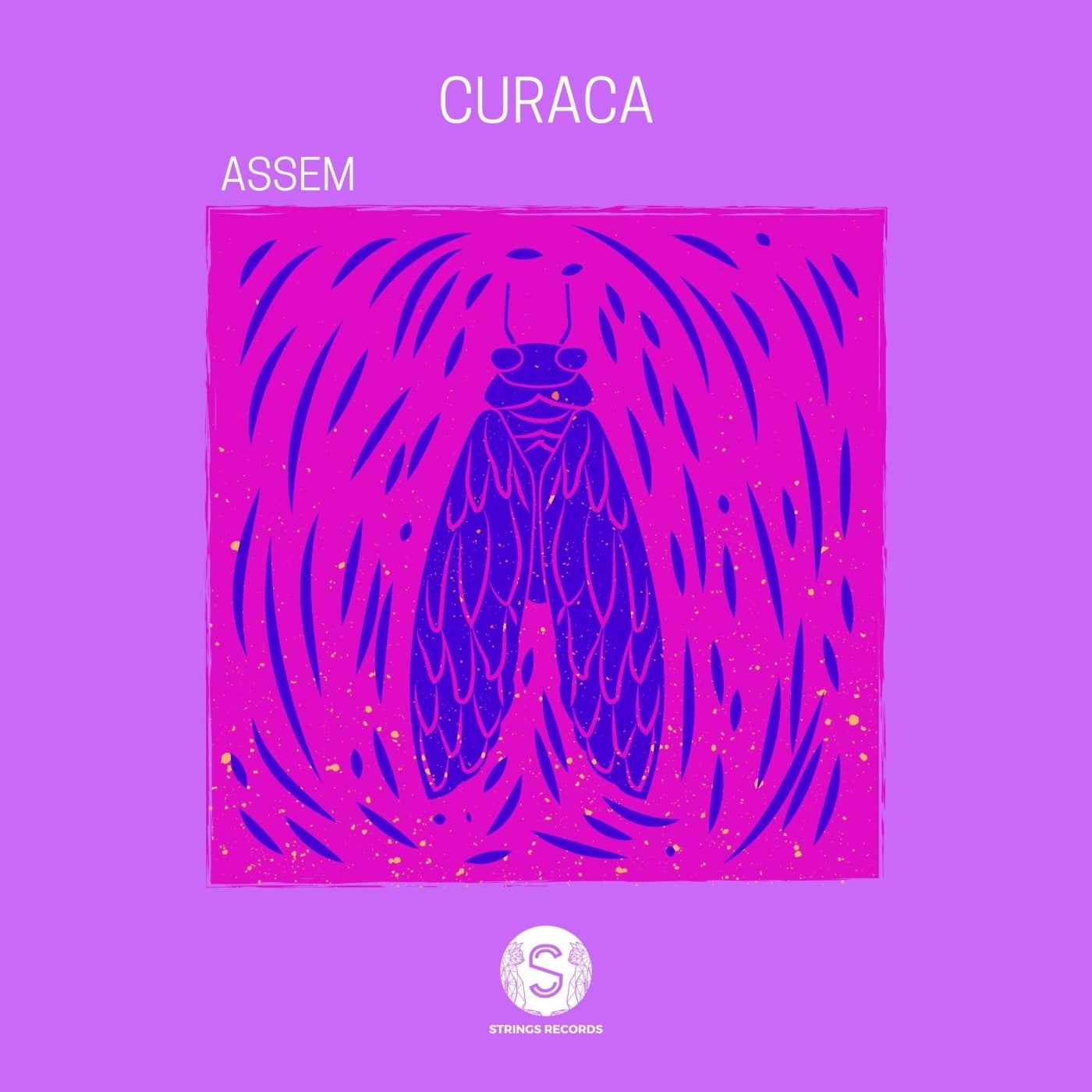 Curaca