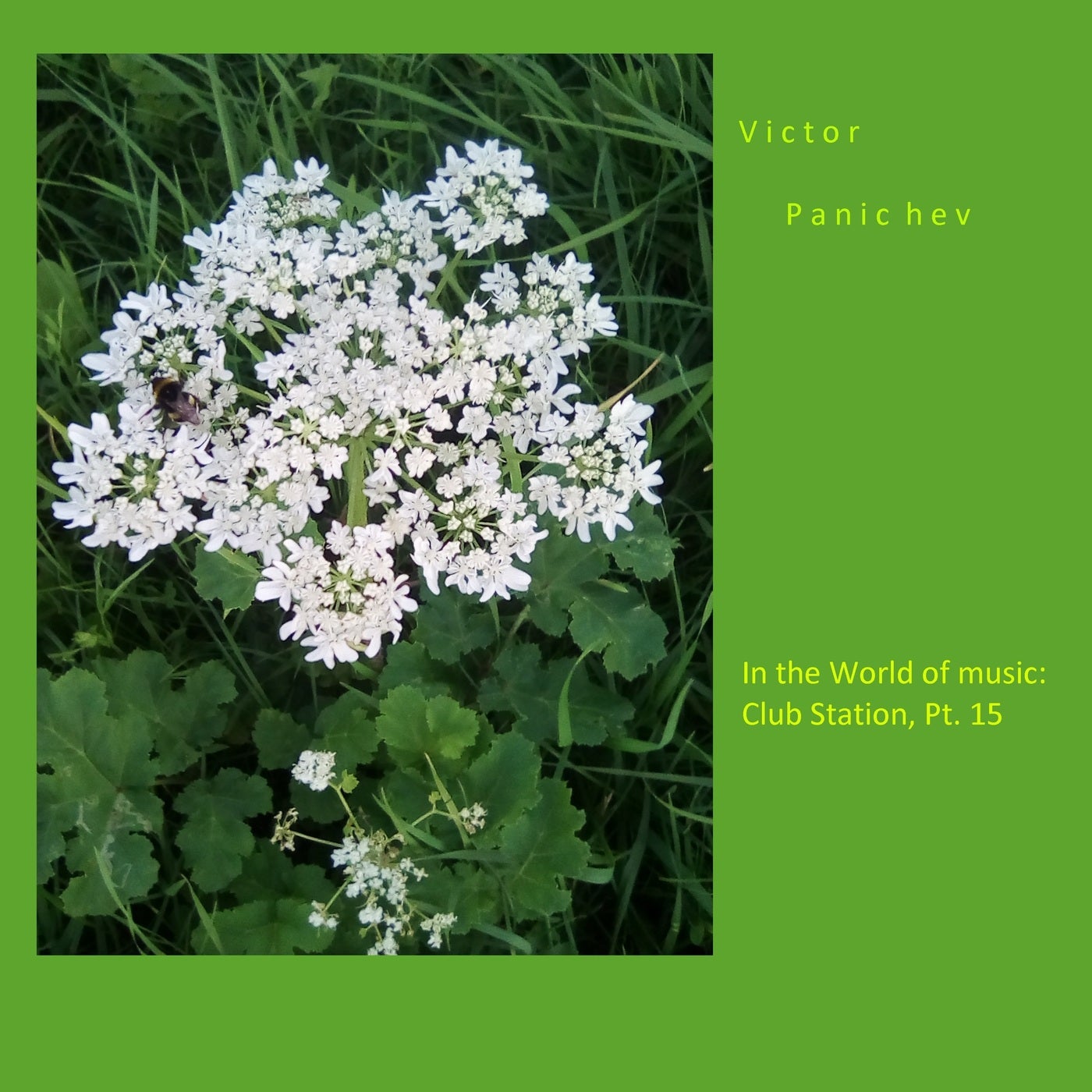 In the World of music: Club Station, Pt. 15