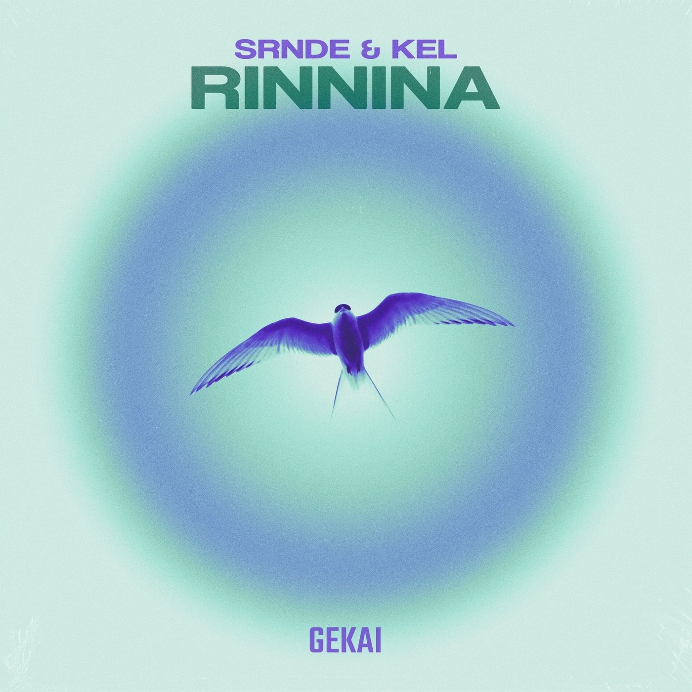 Rinnina (Extended Mix)