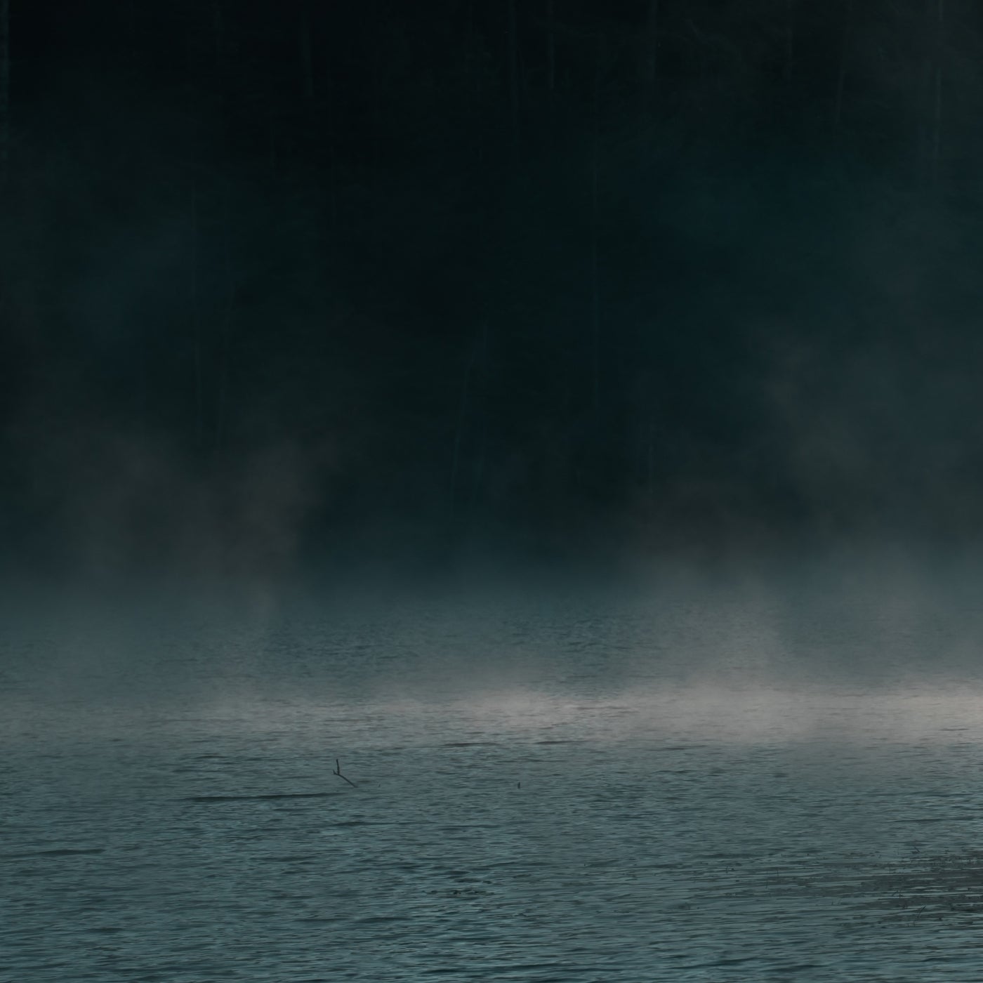 The Disappearance