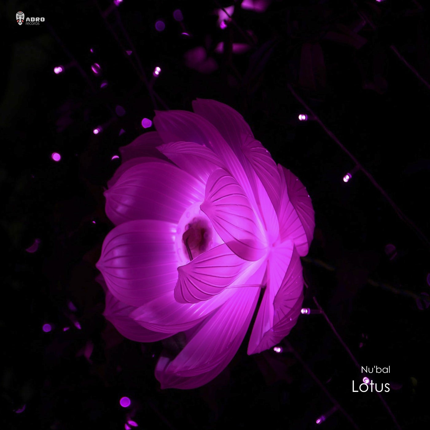 Lotus