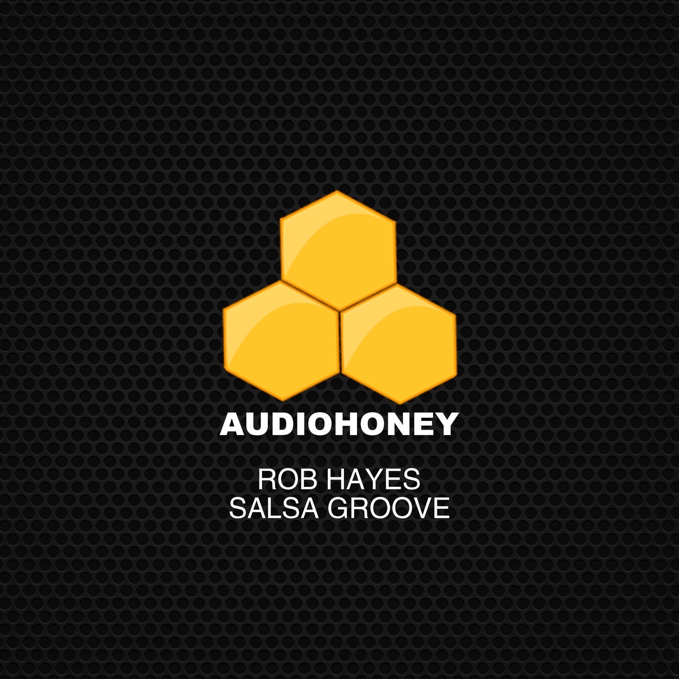 Salsa Groove
