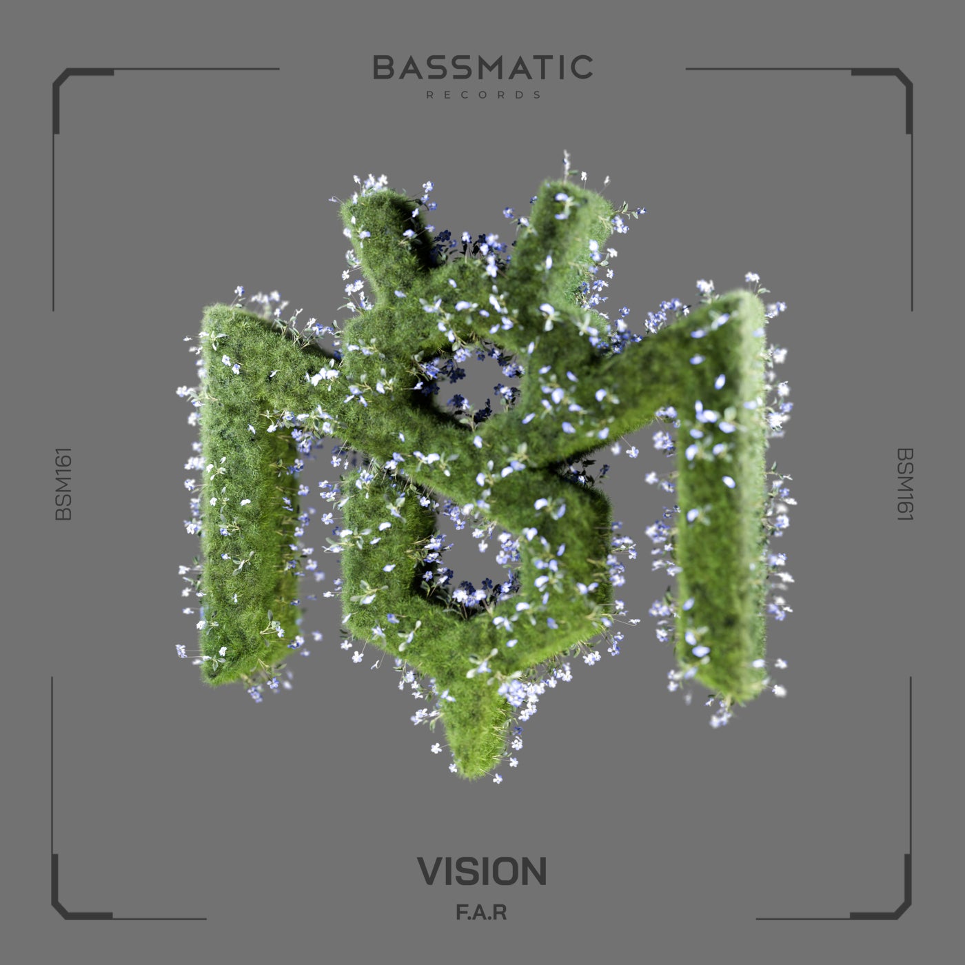 Vision