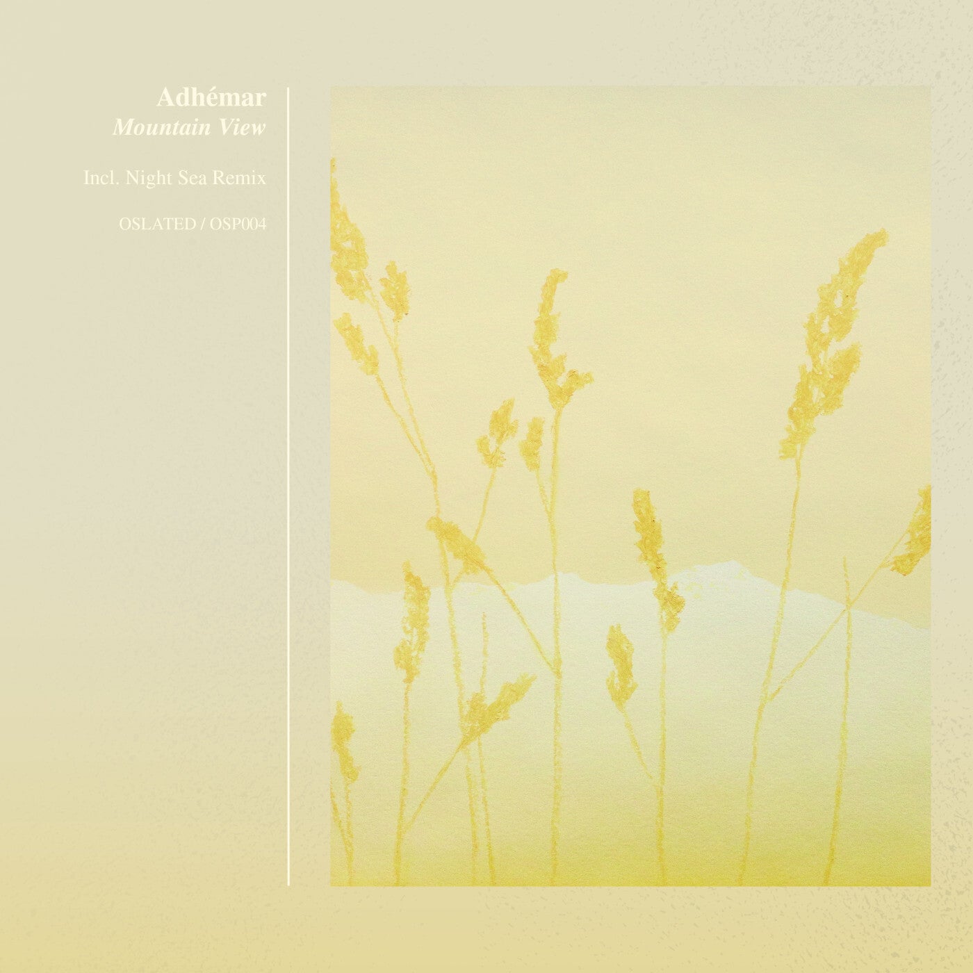 Cover art for Mountain View