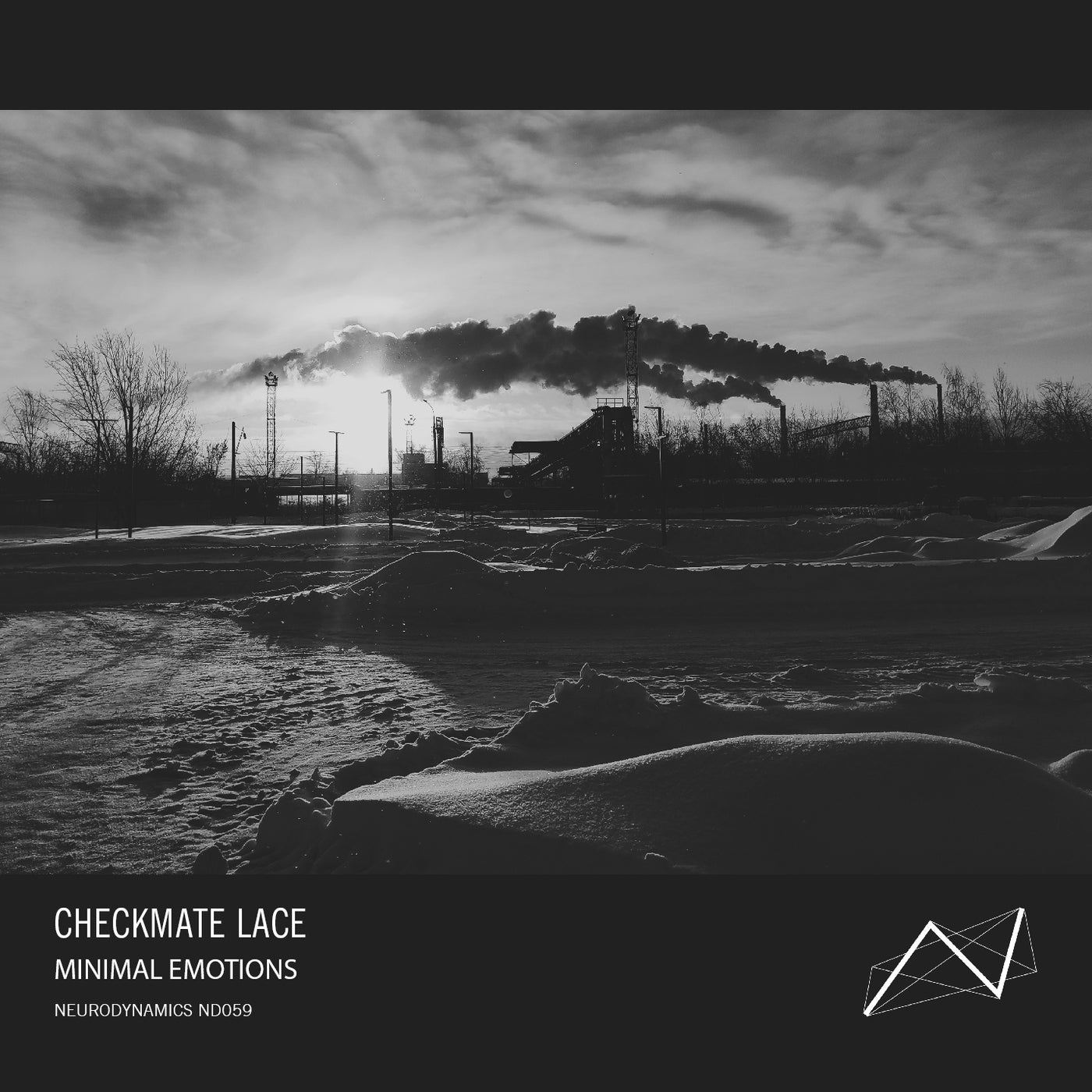Minimal Emotions
