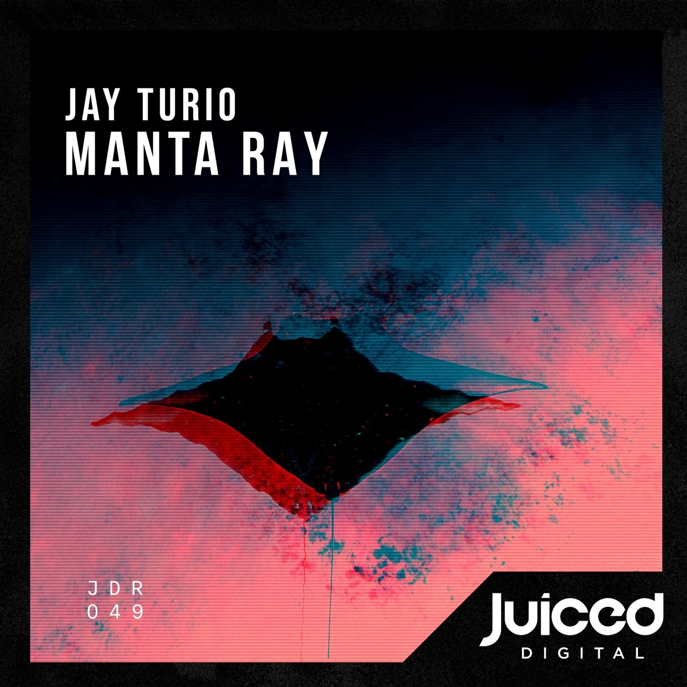 Manta Ray