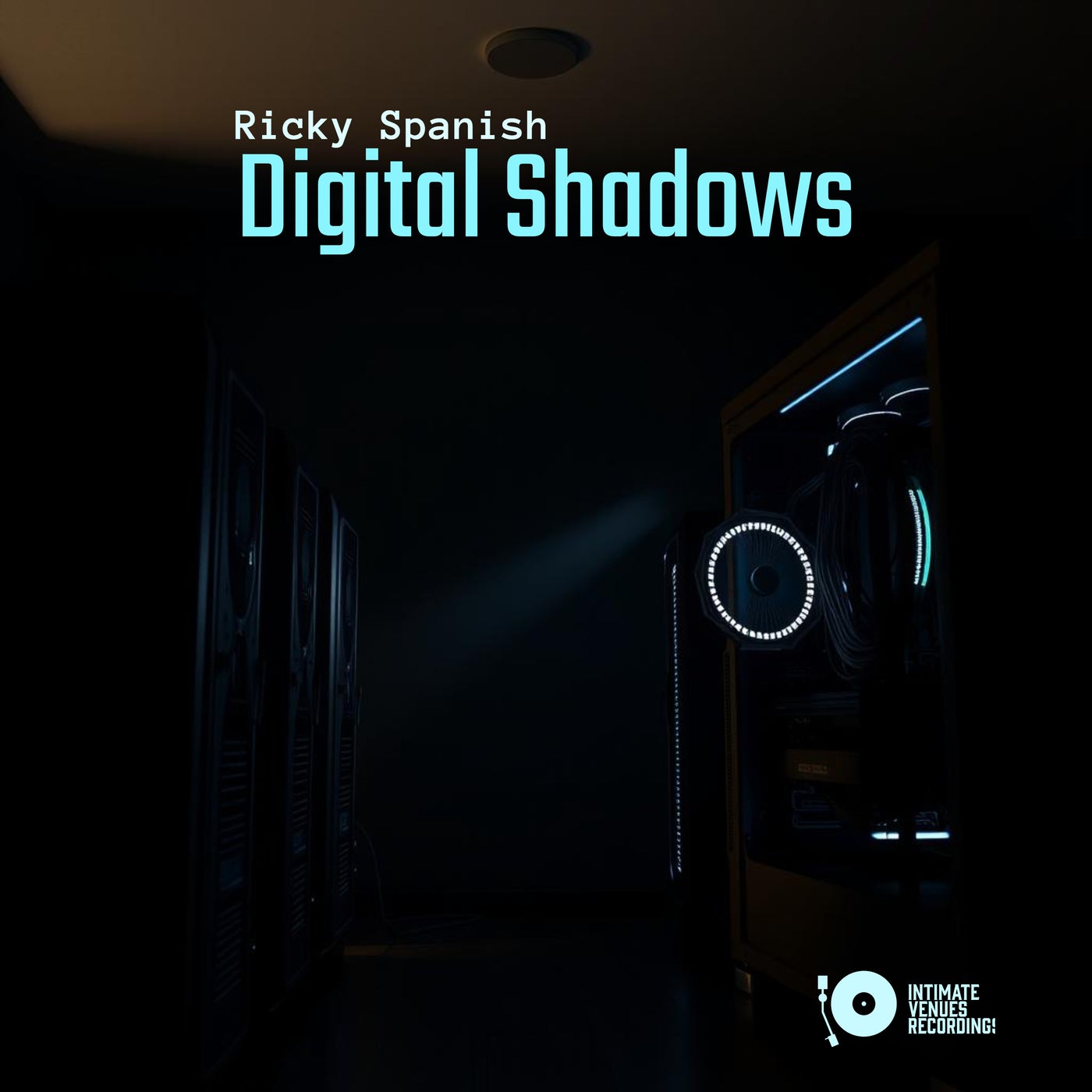 Digital Shadows