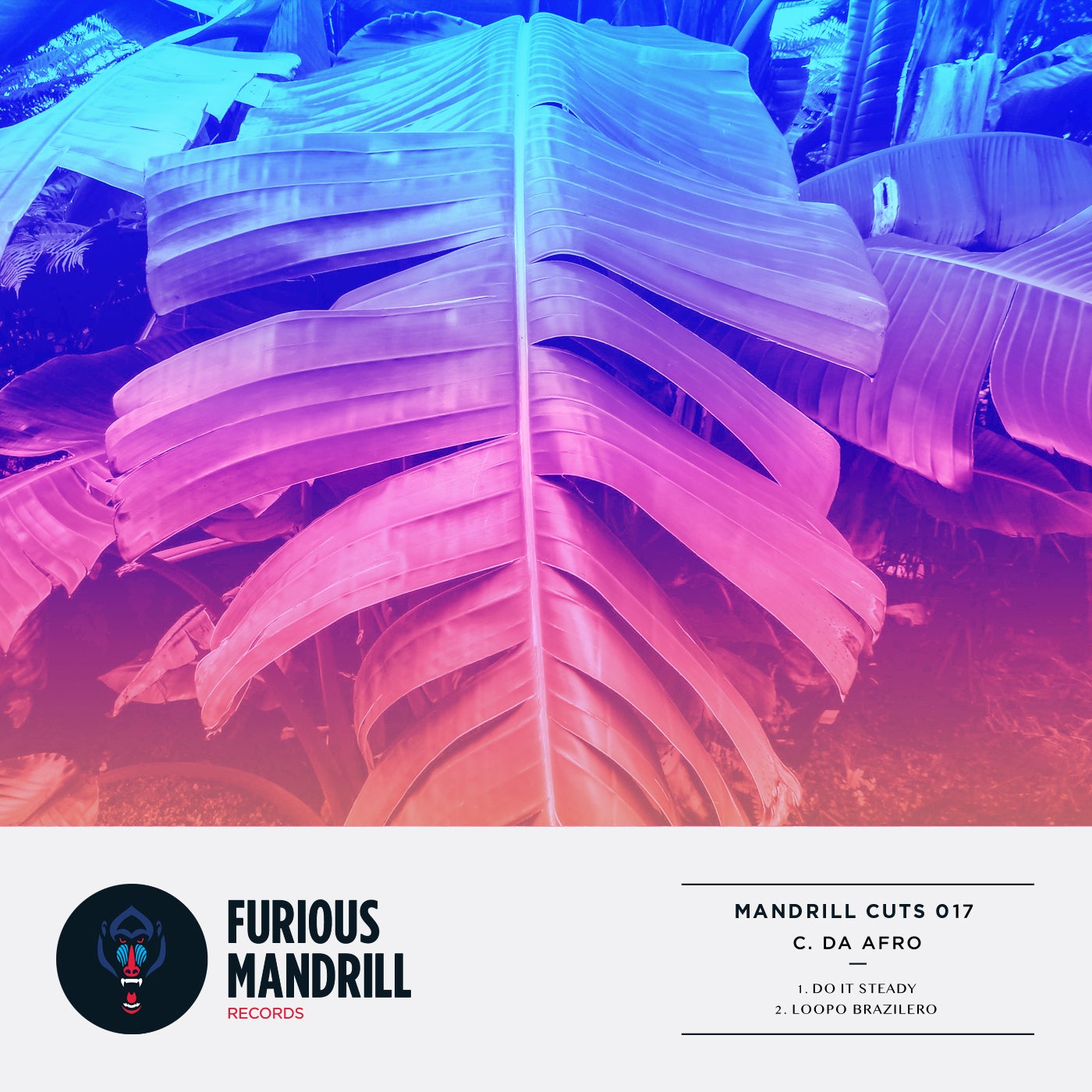 Mandrill Cuts 017