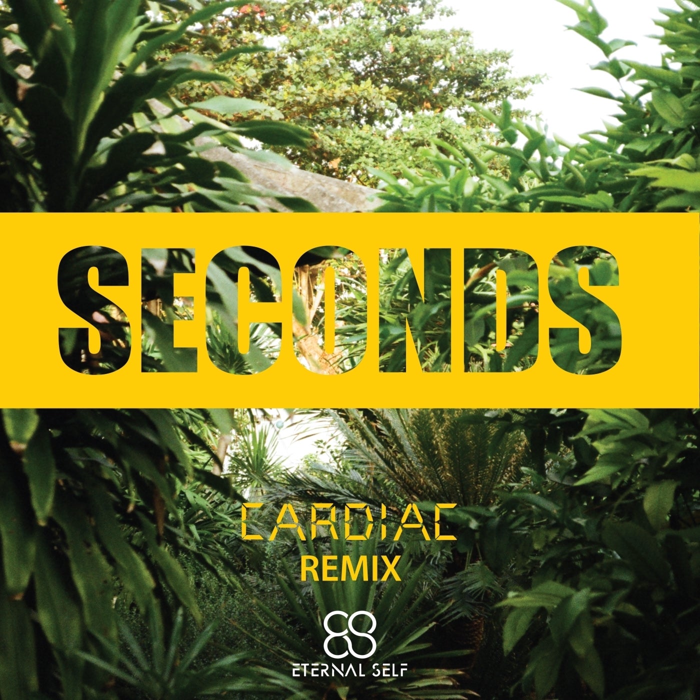 Seconds (Cardiac Remix)