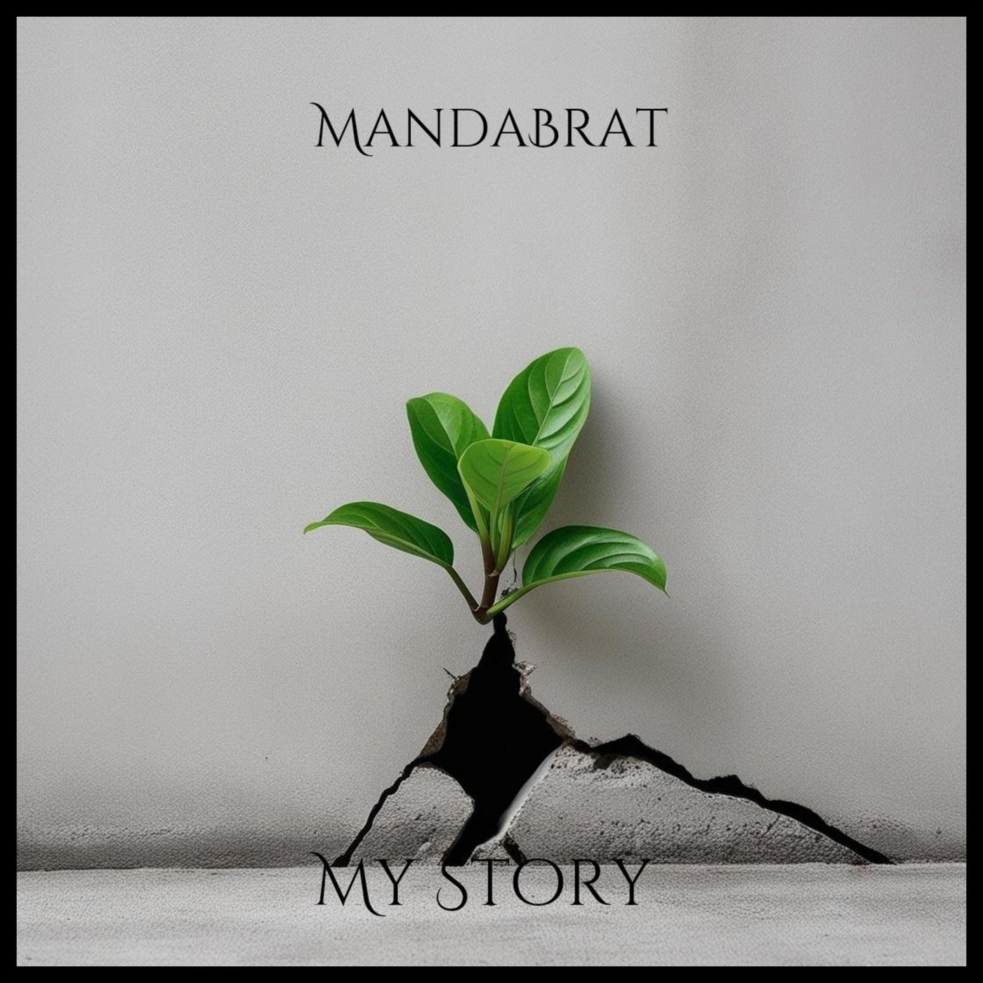 My Story
