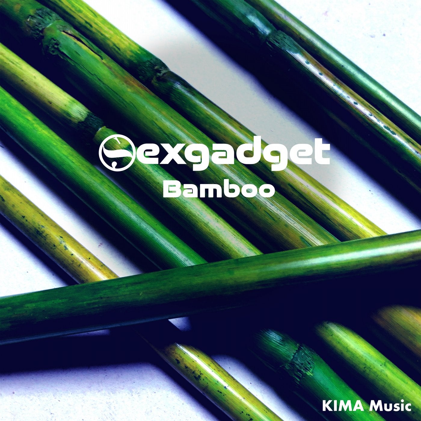 Bamboo