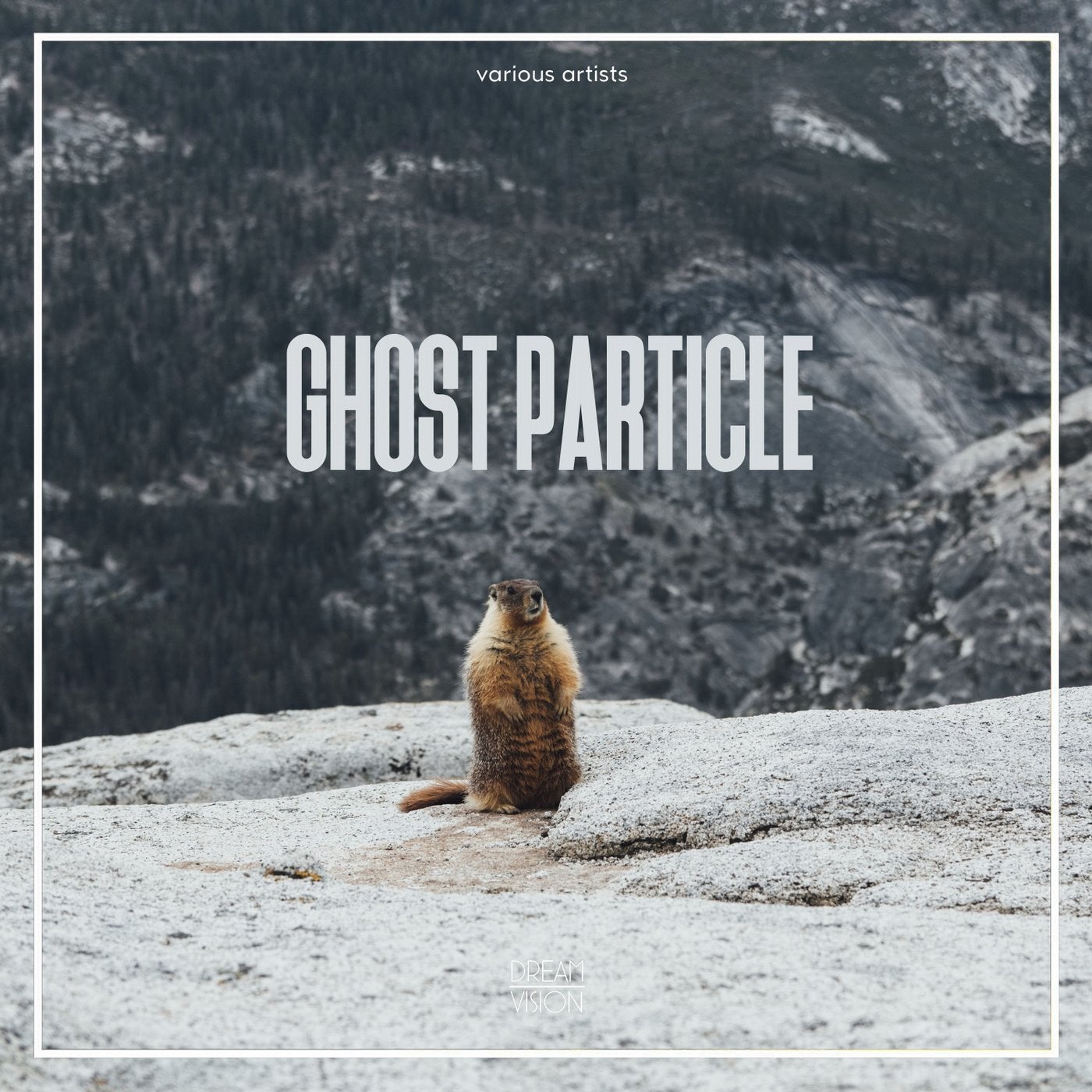 Ghost Particle