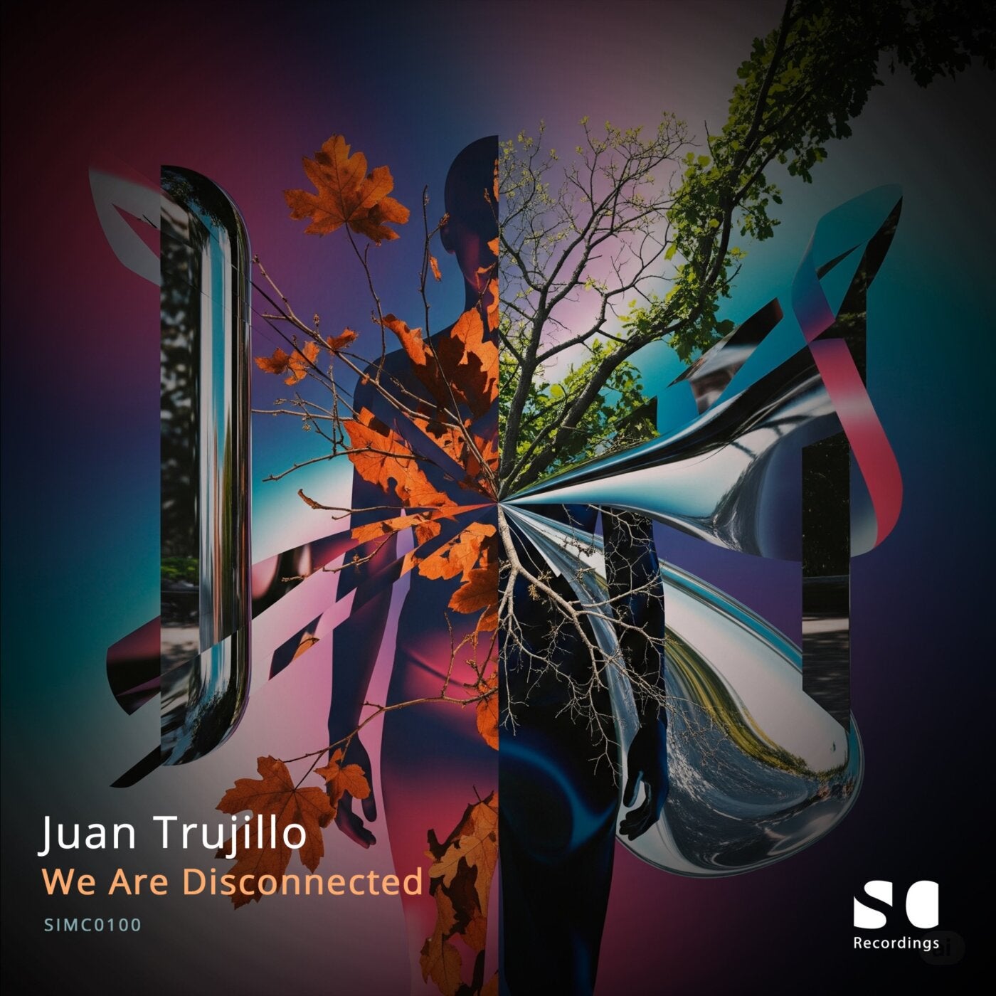 Cover art for We Are Disconnected