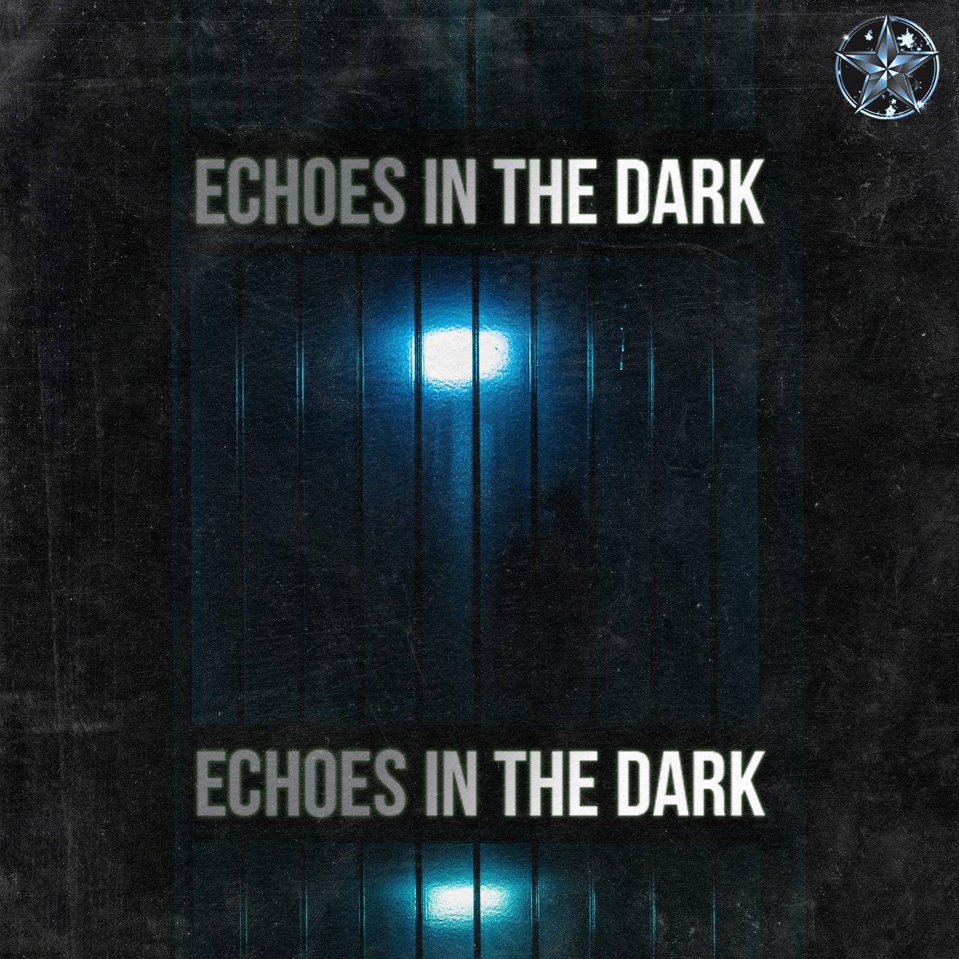Echoes in the Dark
