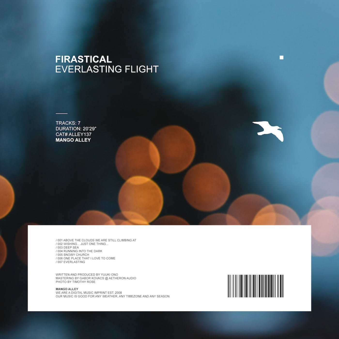 Everlasting Flight