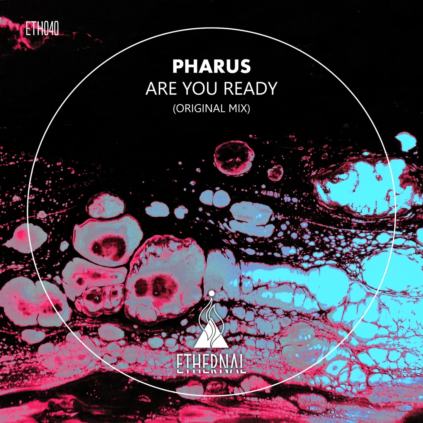 Are You Ready