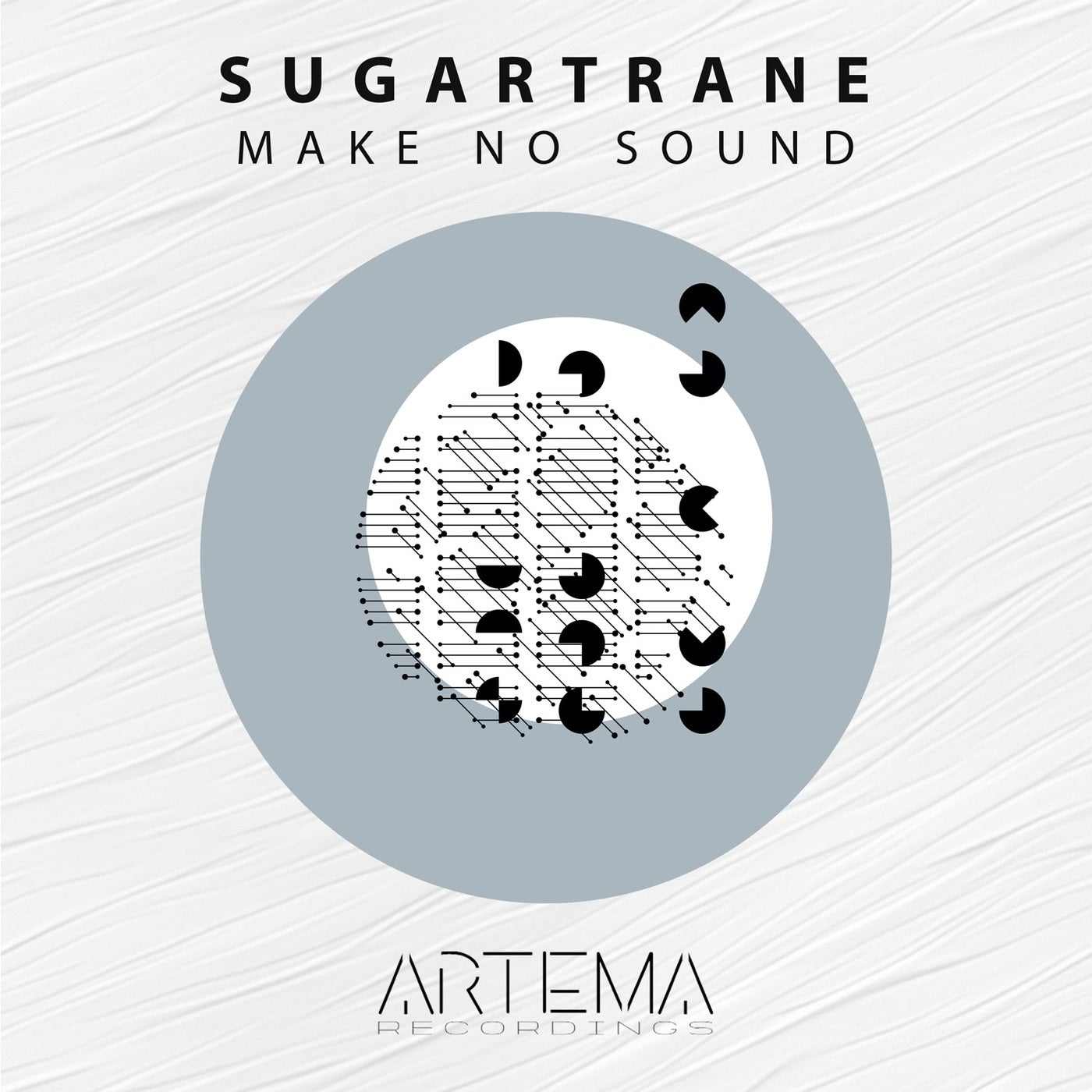 Make No Sound