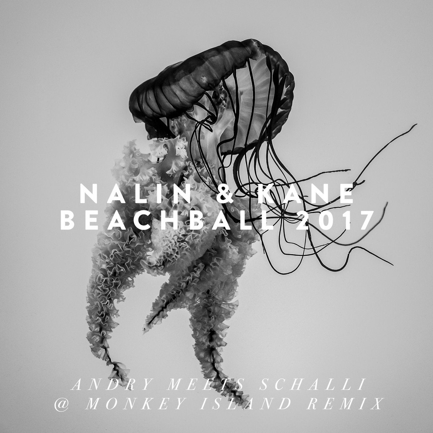 Beachball (Andry Meets Schalli @ Monkey Island Remix)