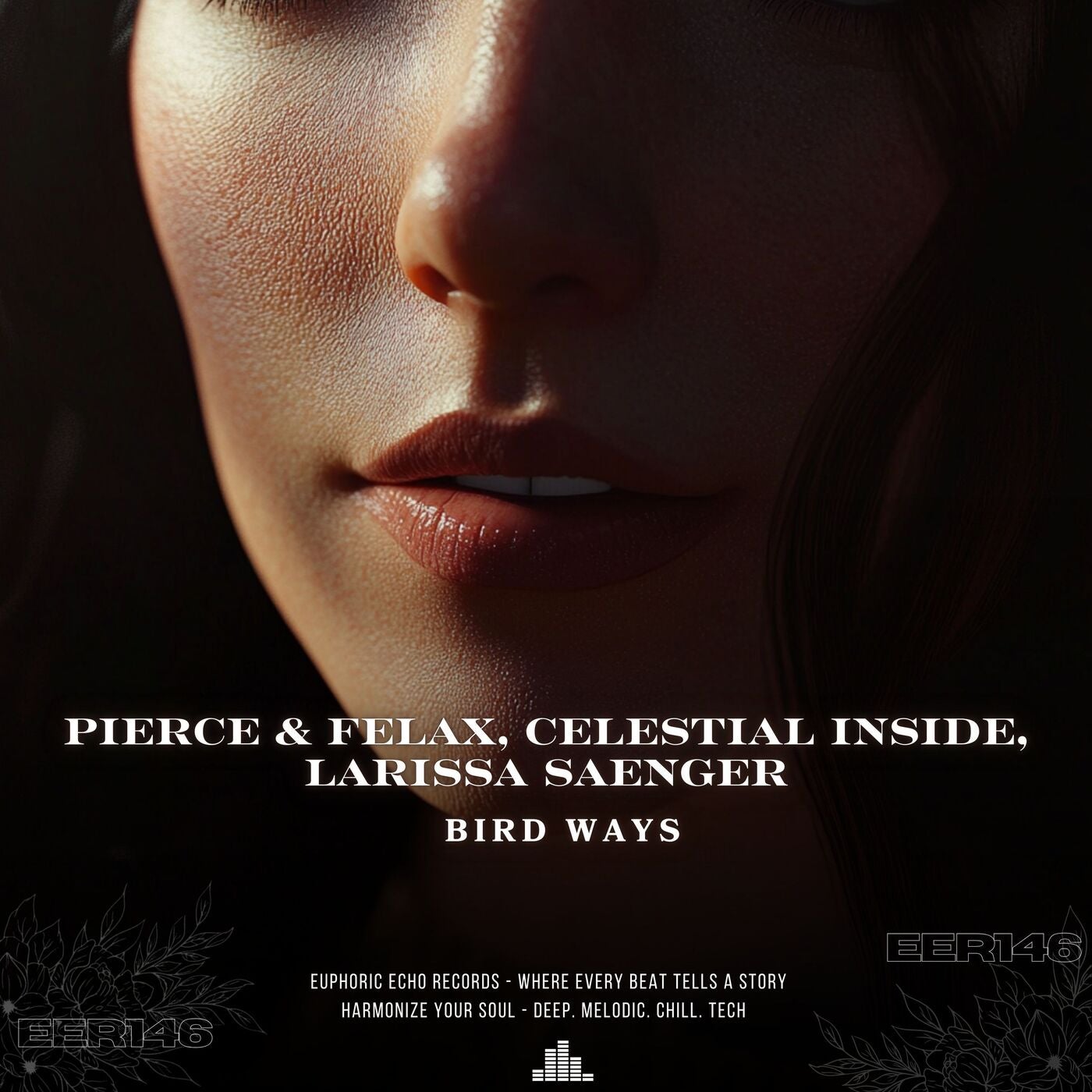 Bird Ways