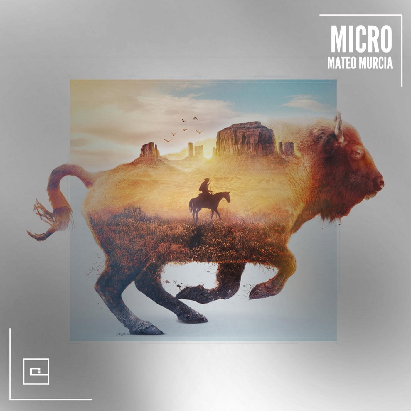 Micro